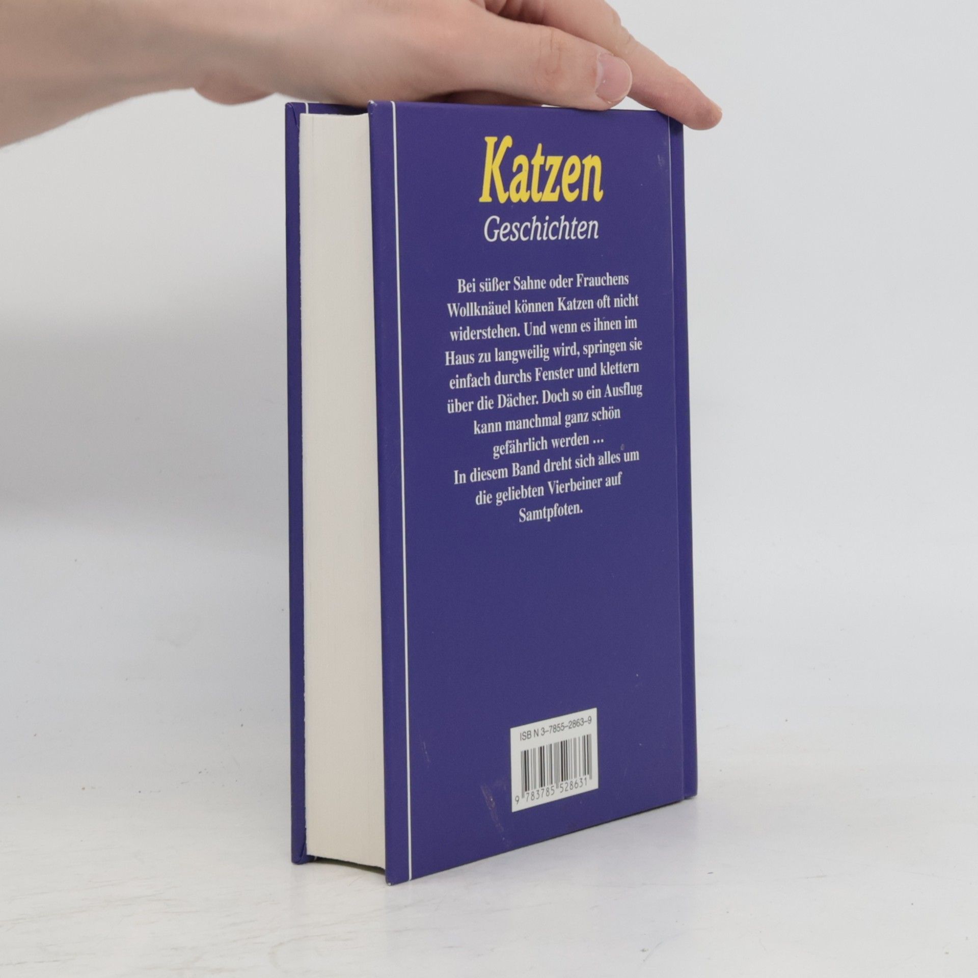 Katzengeschichten