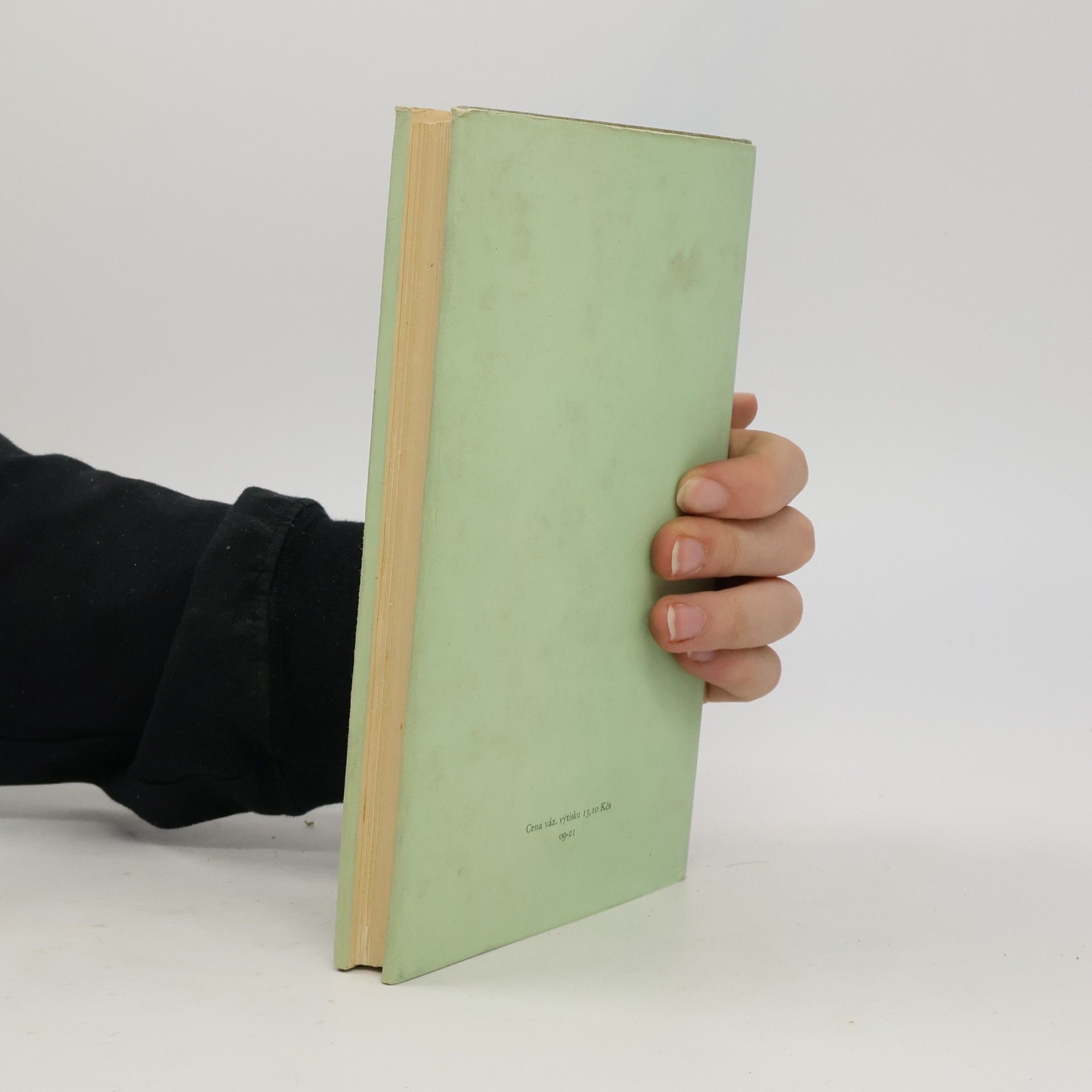 Romain Rolland Beethoven III. Velká tvůrčí období. Nedokončená katedrála