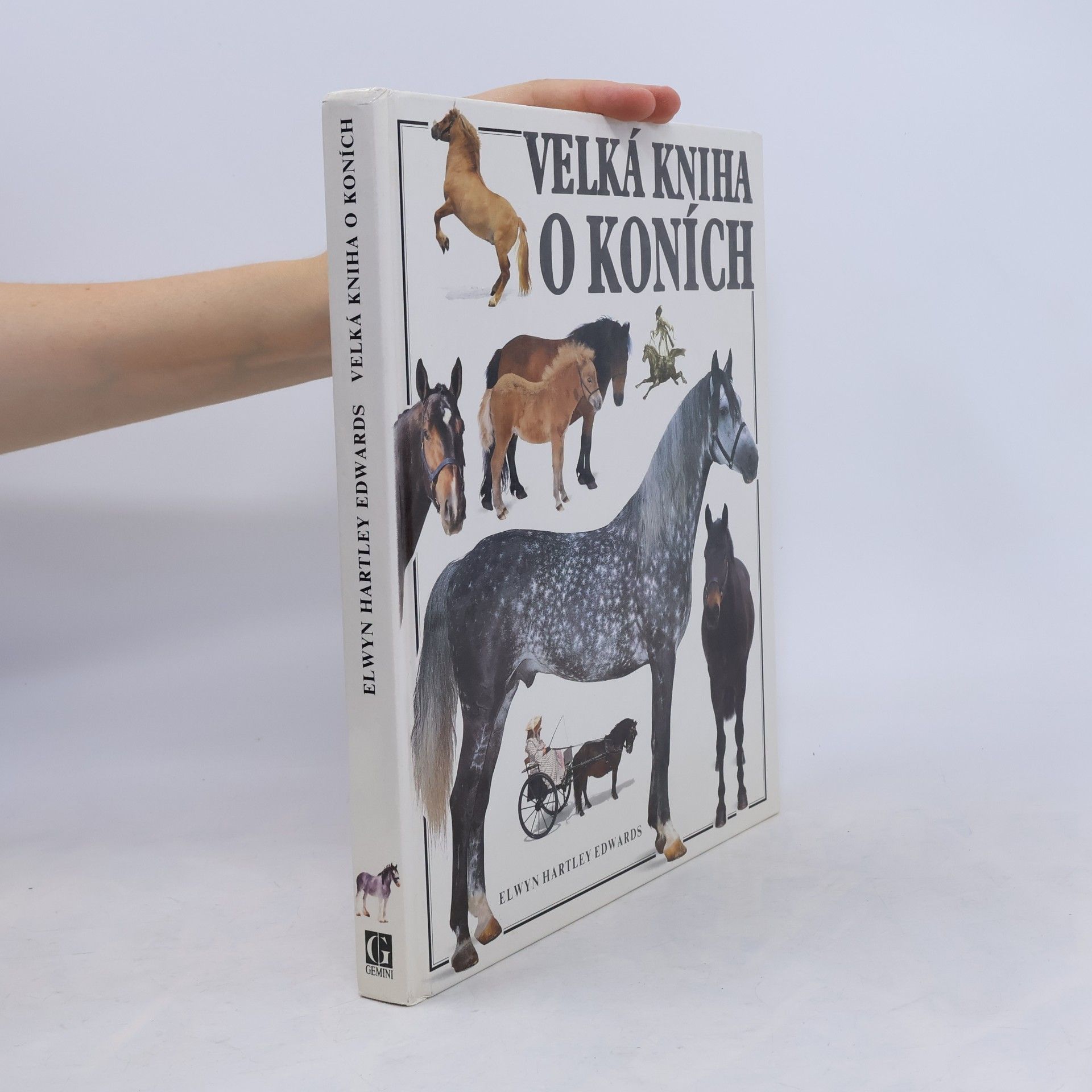 Velká kniha o koních