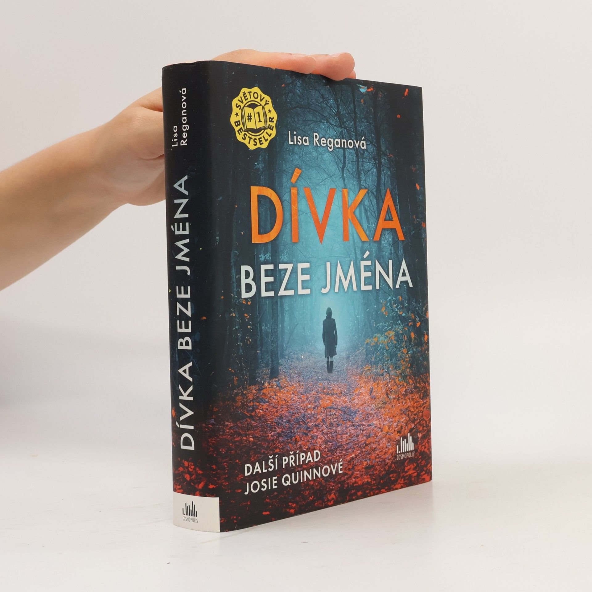 Lisa Regan Dívka beze jména: Další případ Josie Quinnové