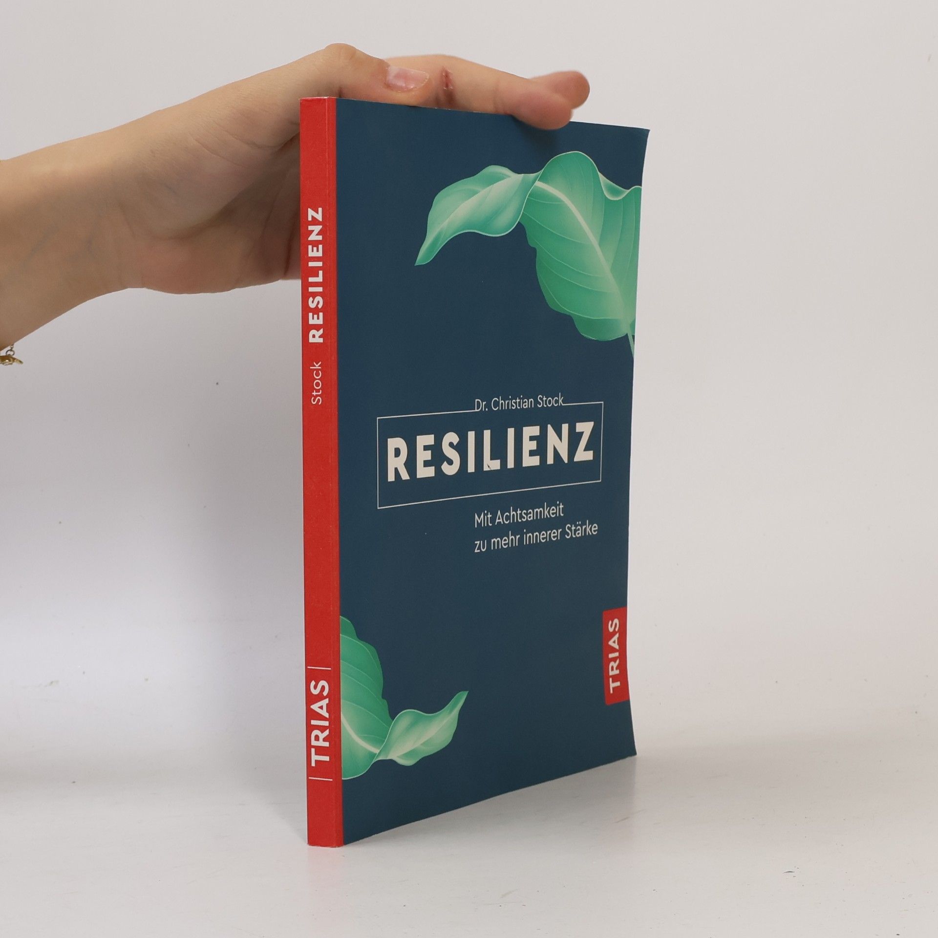 Dr. Christian Stock Resilienz