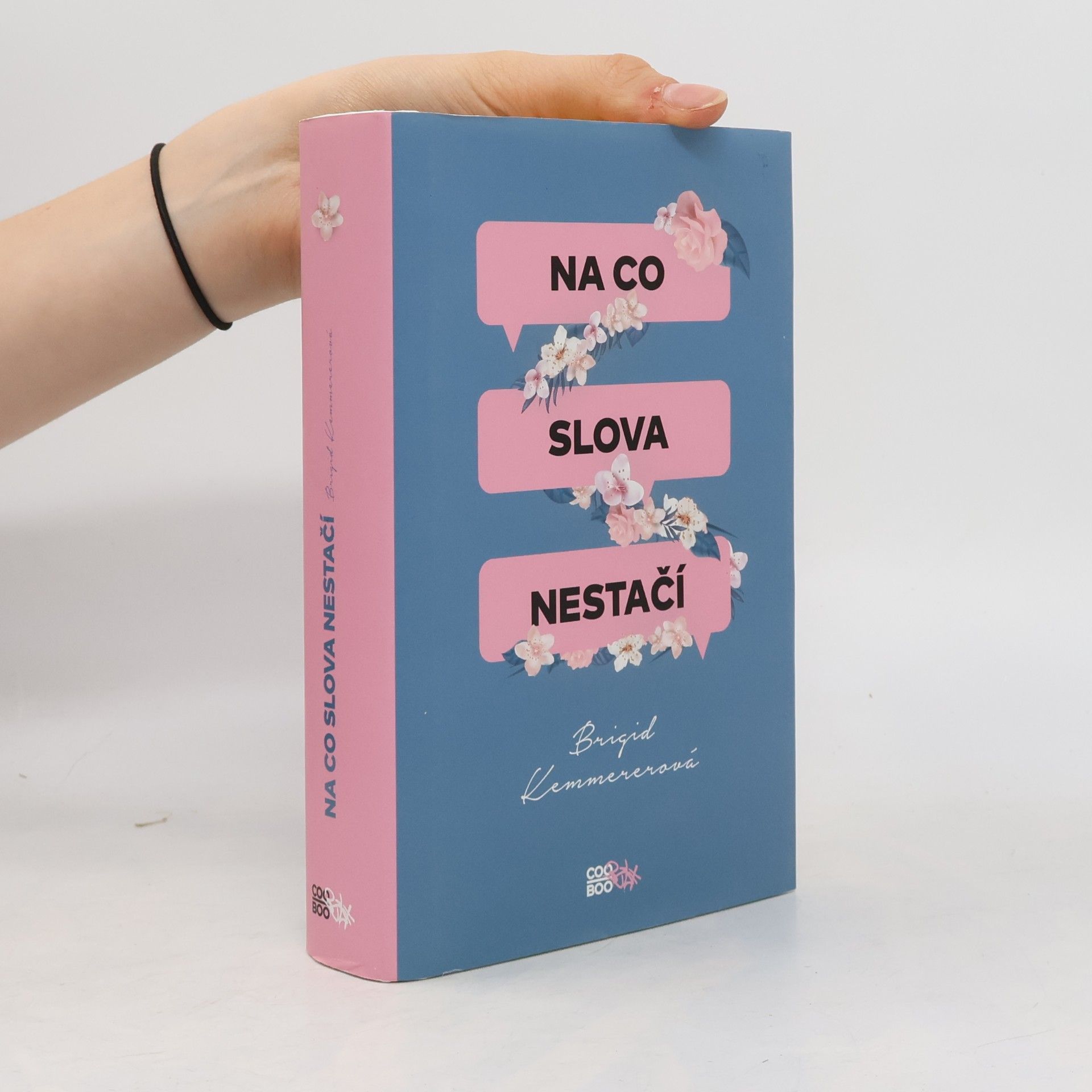 Brigid Kemmerer Na co slova nestačí