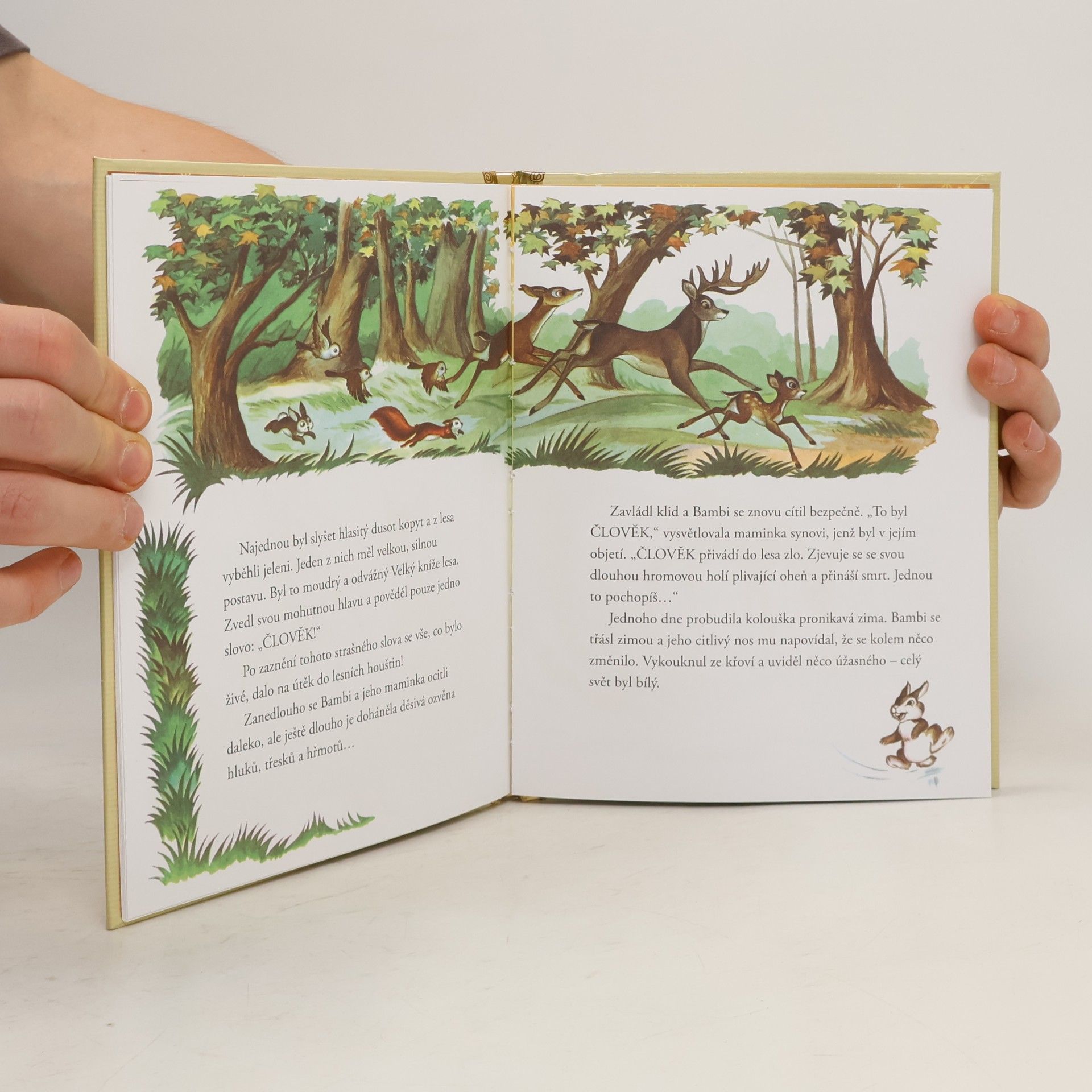 Walt Disney Zlatá sbírka pohádek 4. Bambi