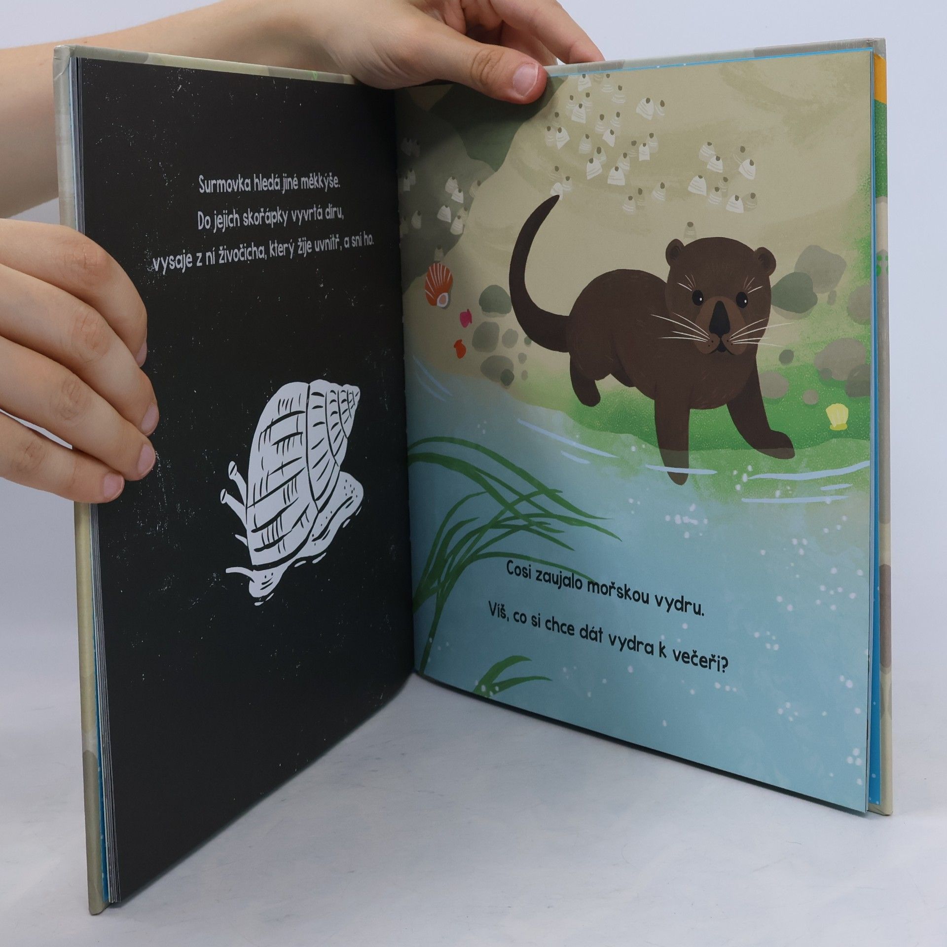 Carron Brown Tajemství mořského pobřeží