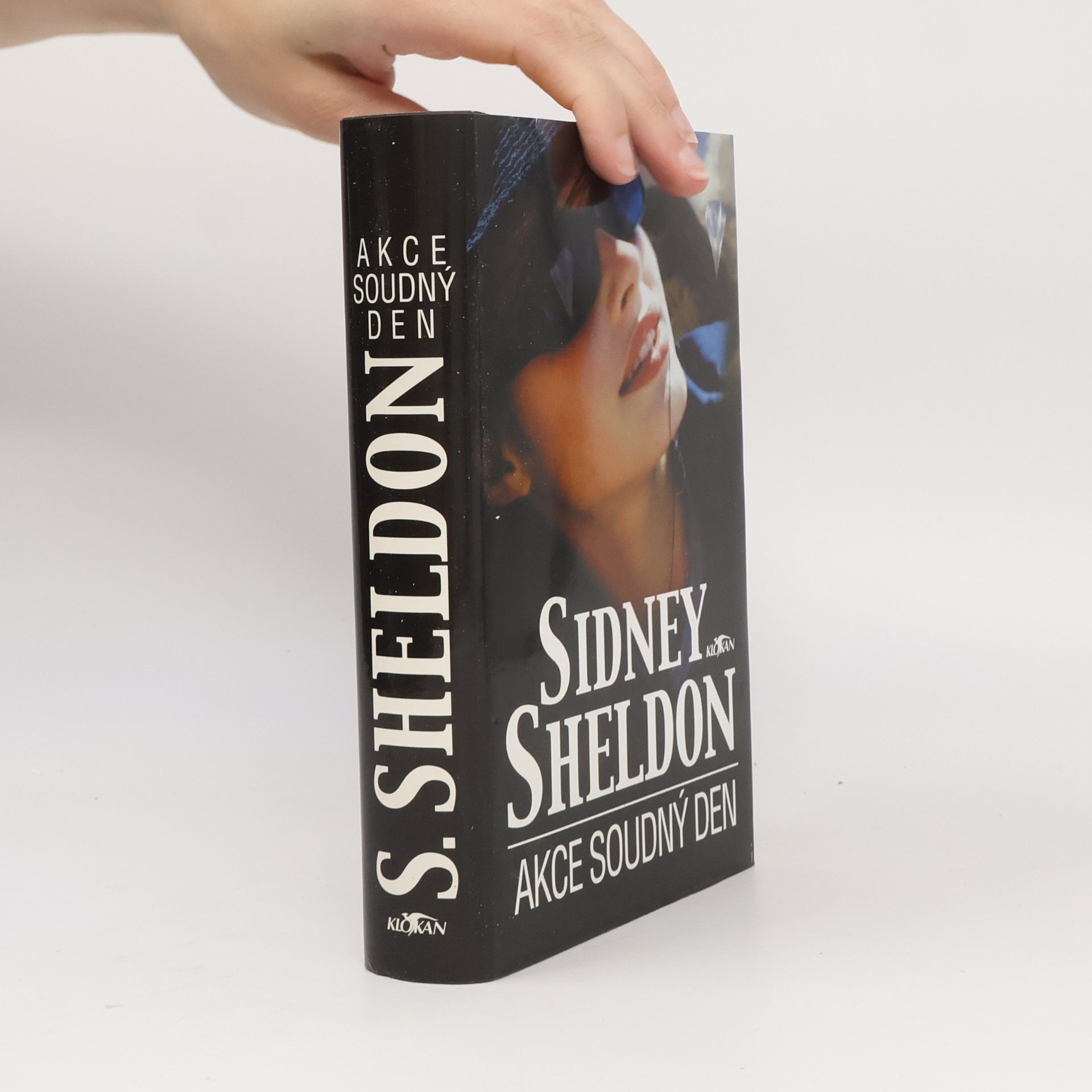 Sidney Sheldon Akce Soudný den