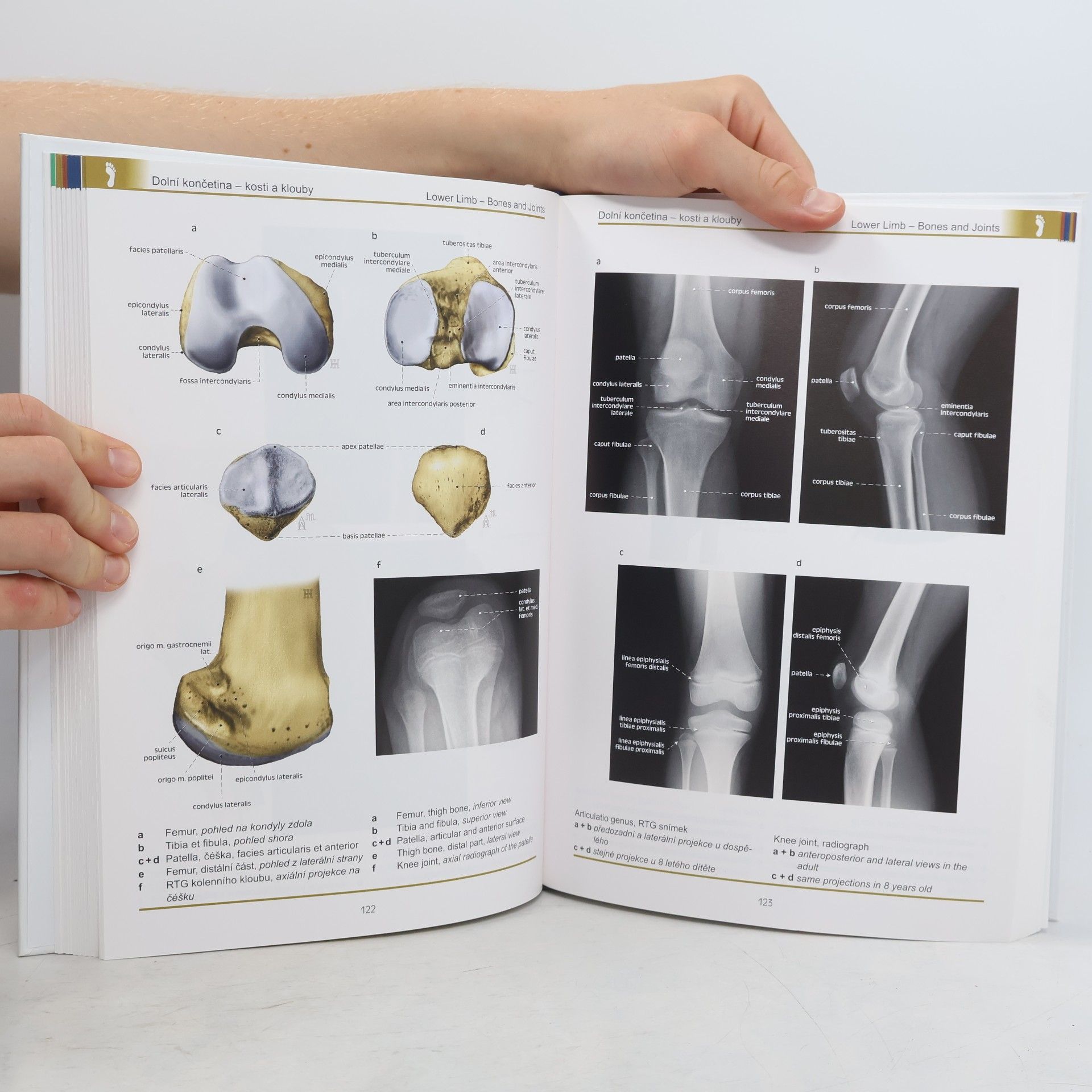 Miloš Grim Atlas anatomie člověka. Atlas of human anatomy