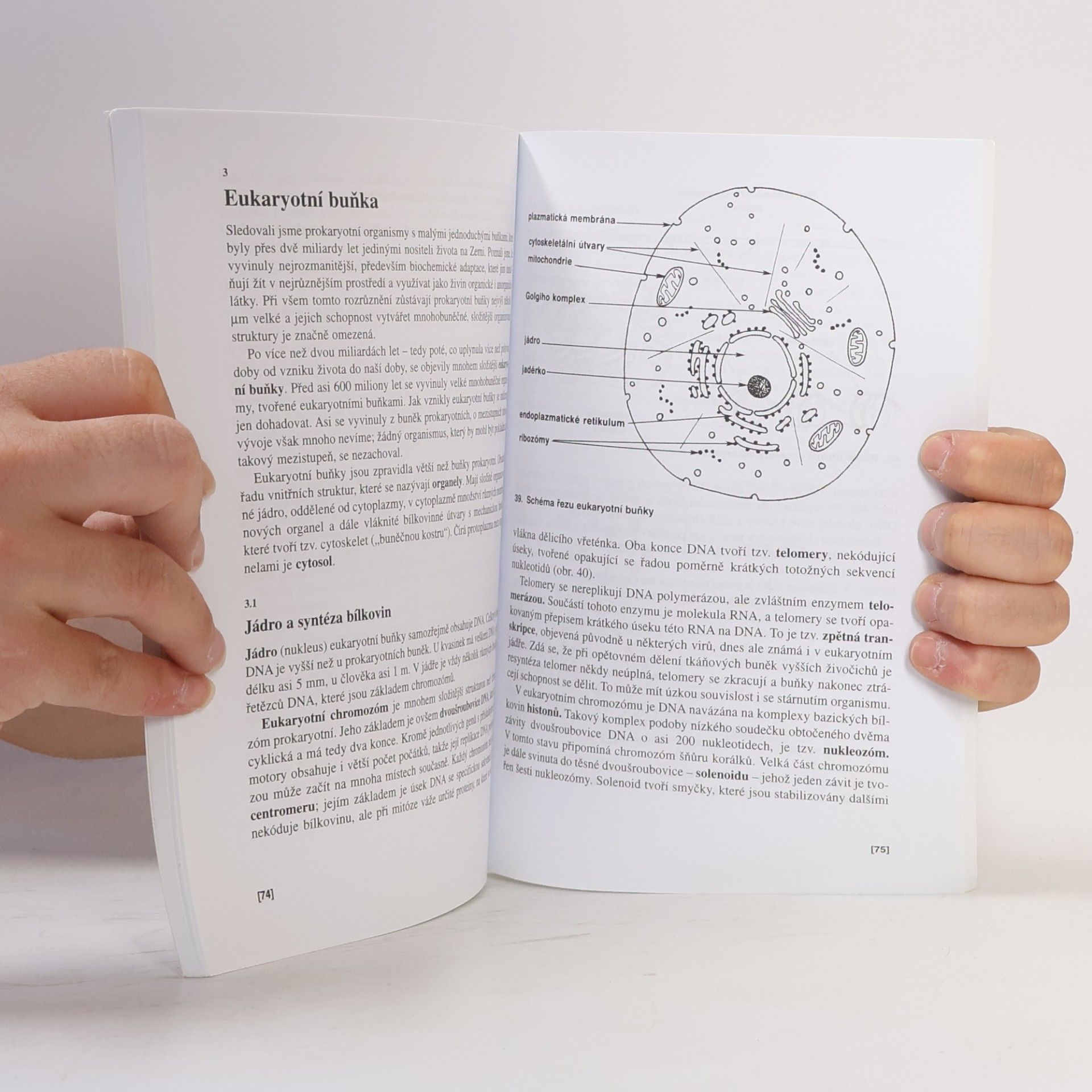 Václav Kubišta Obecná biologie. Úvodní učební text biologie pro 1. ročník gymnázií