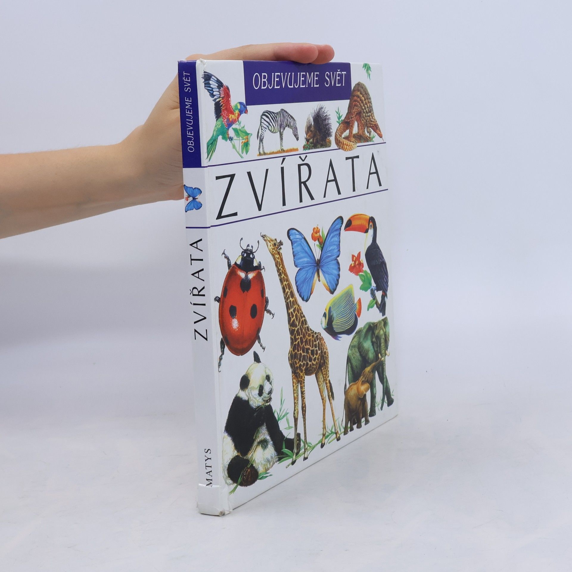 Autorenkollektiv Zvířata. Objevujeme svět