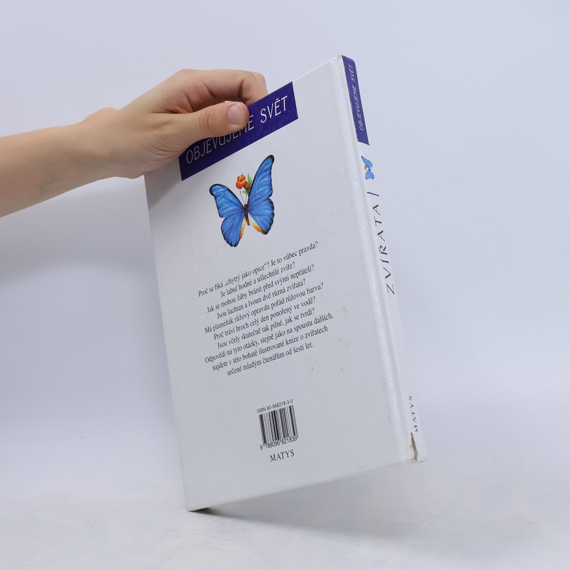 Autorenkollektiv Zvířata. Objevujeme svět