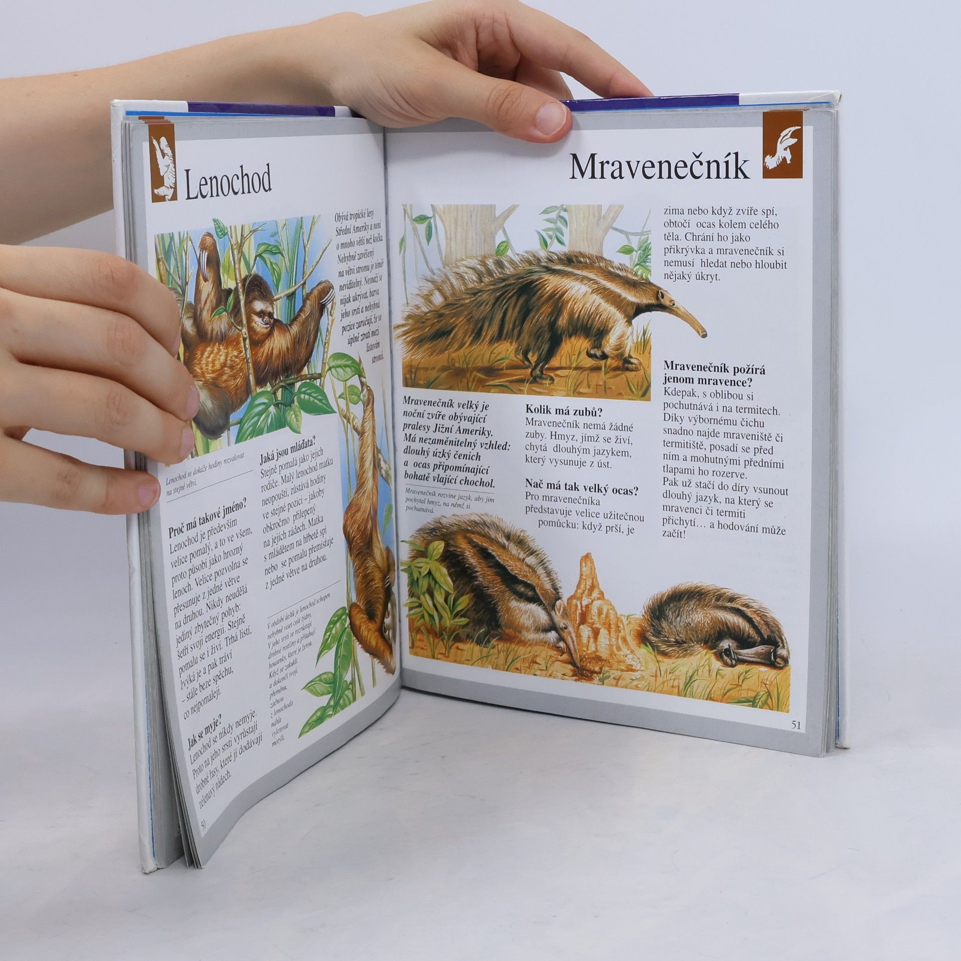 Autorenkollektiv Zvířata. Objevujeme svět