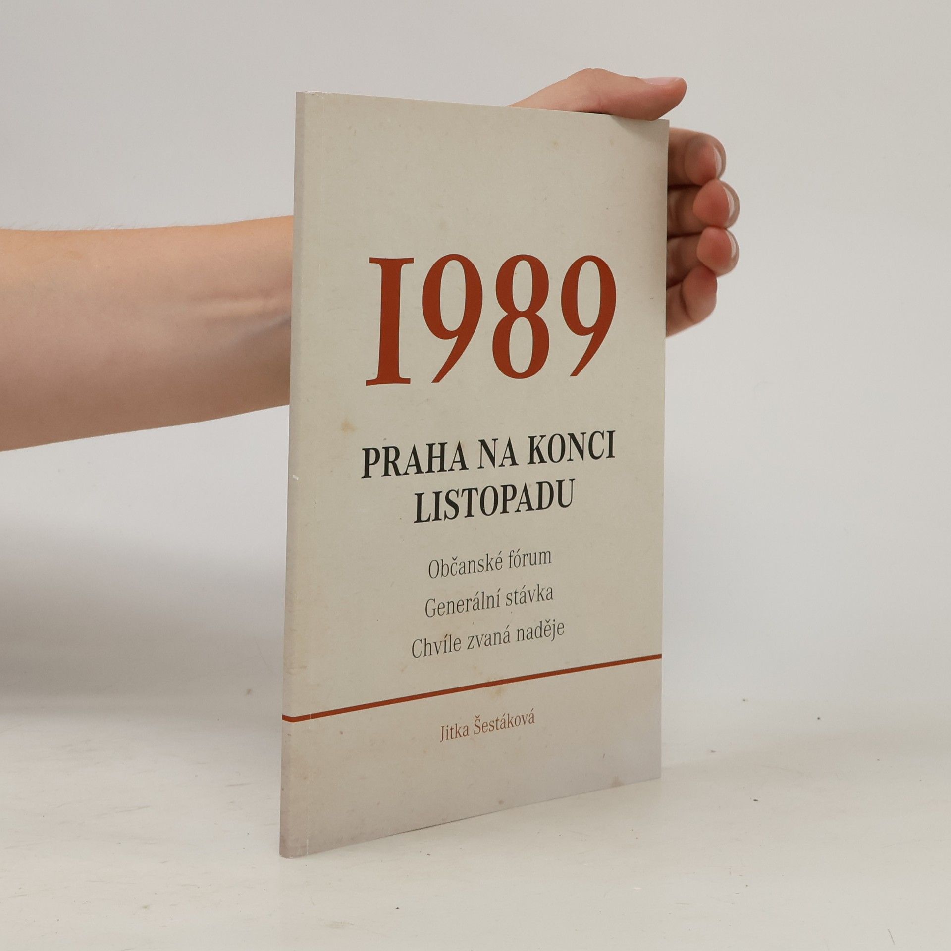 Jitka Šestáková 1989 (Praha na konci listopadu)