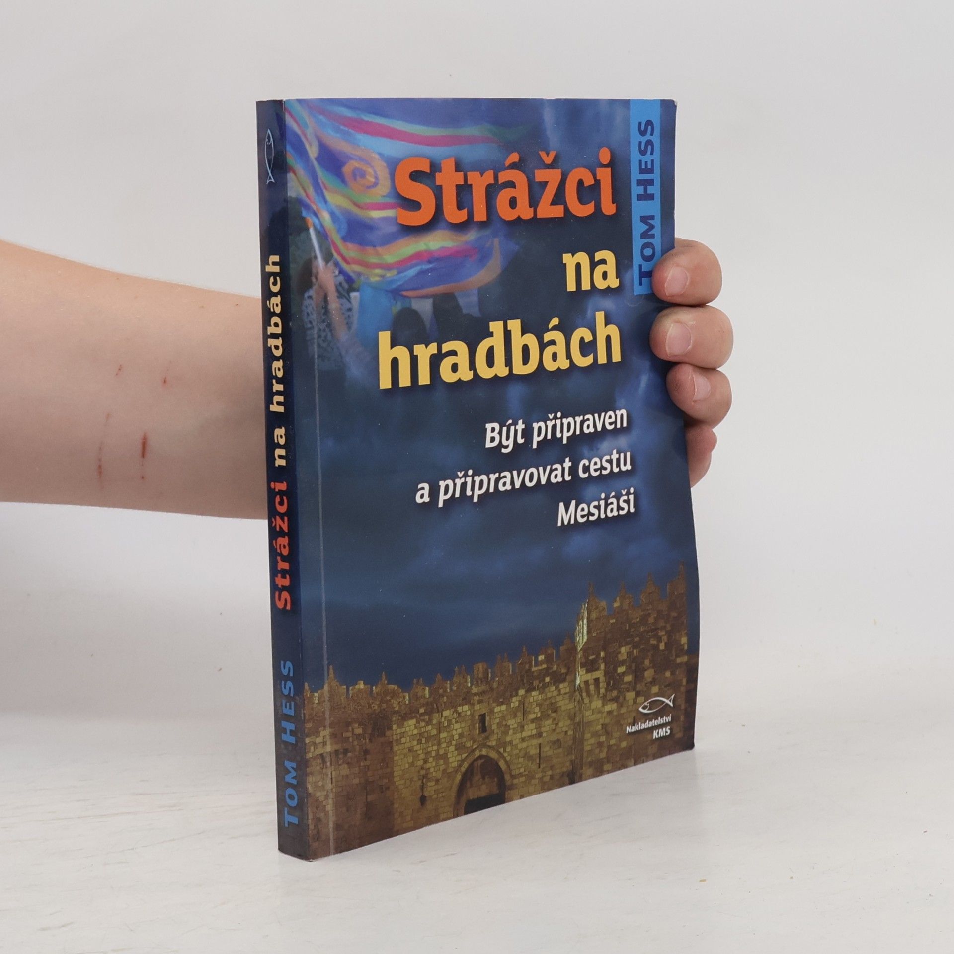 Tom Hess Strážci na hradbách