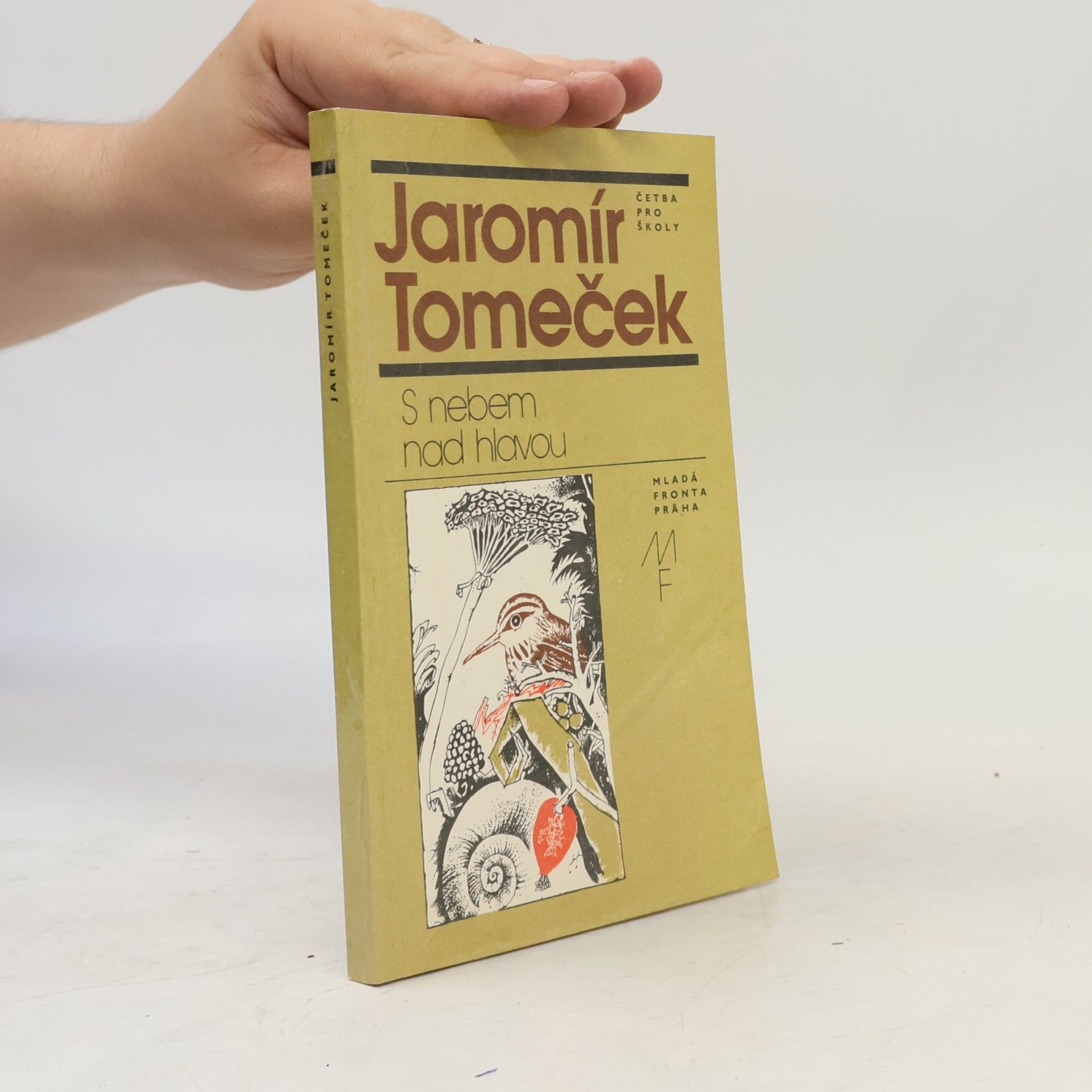 Jaromír Tomeček S nebem nad hlavou