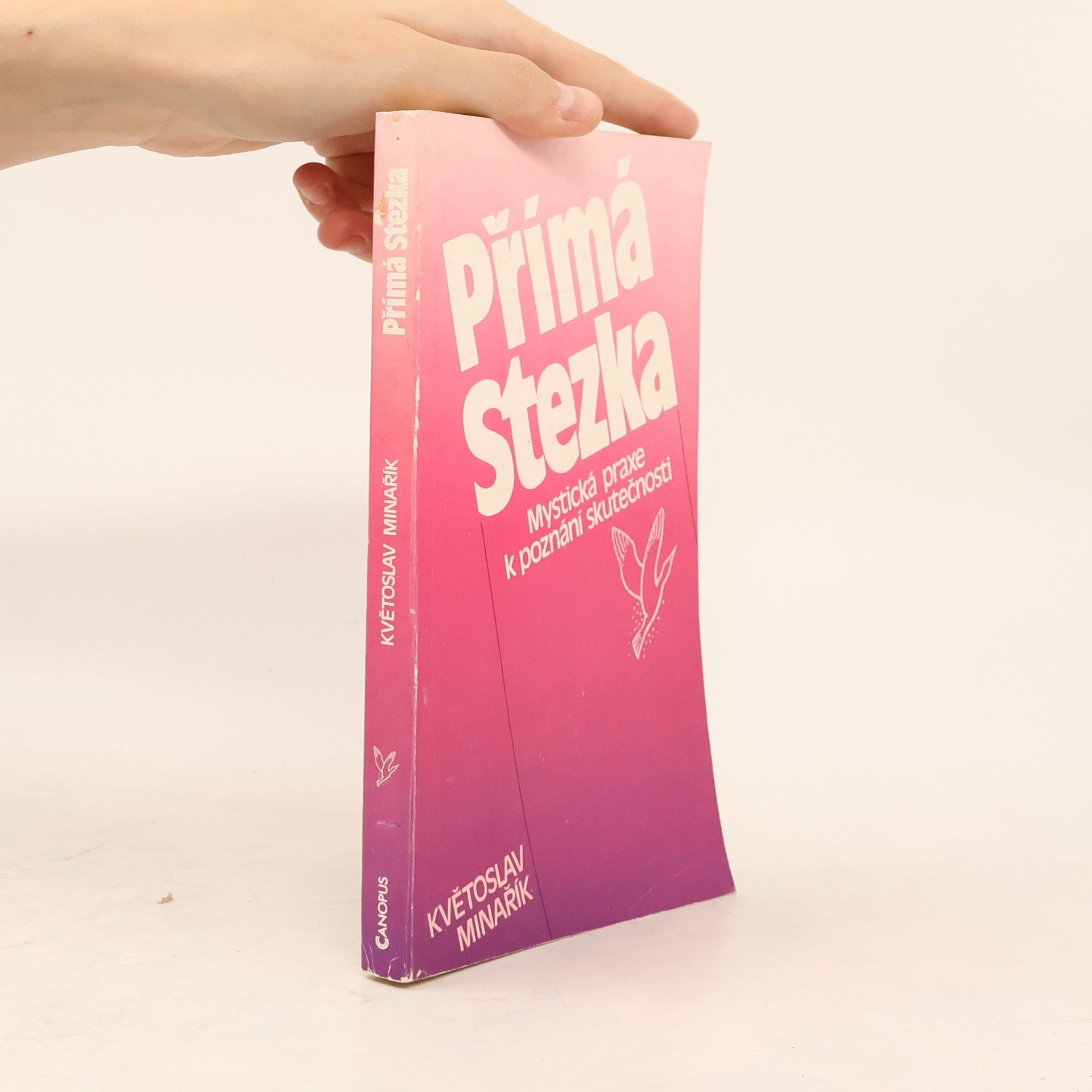 Kvetoslav Minarik Přímá stezka
