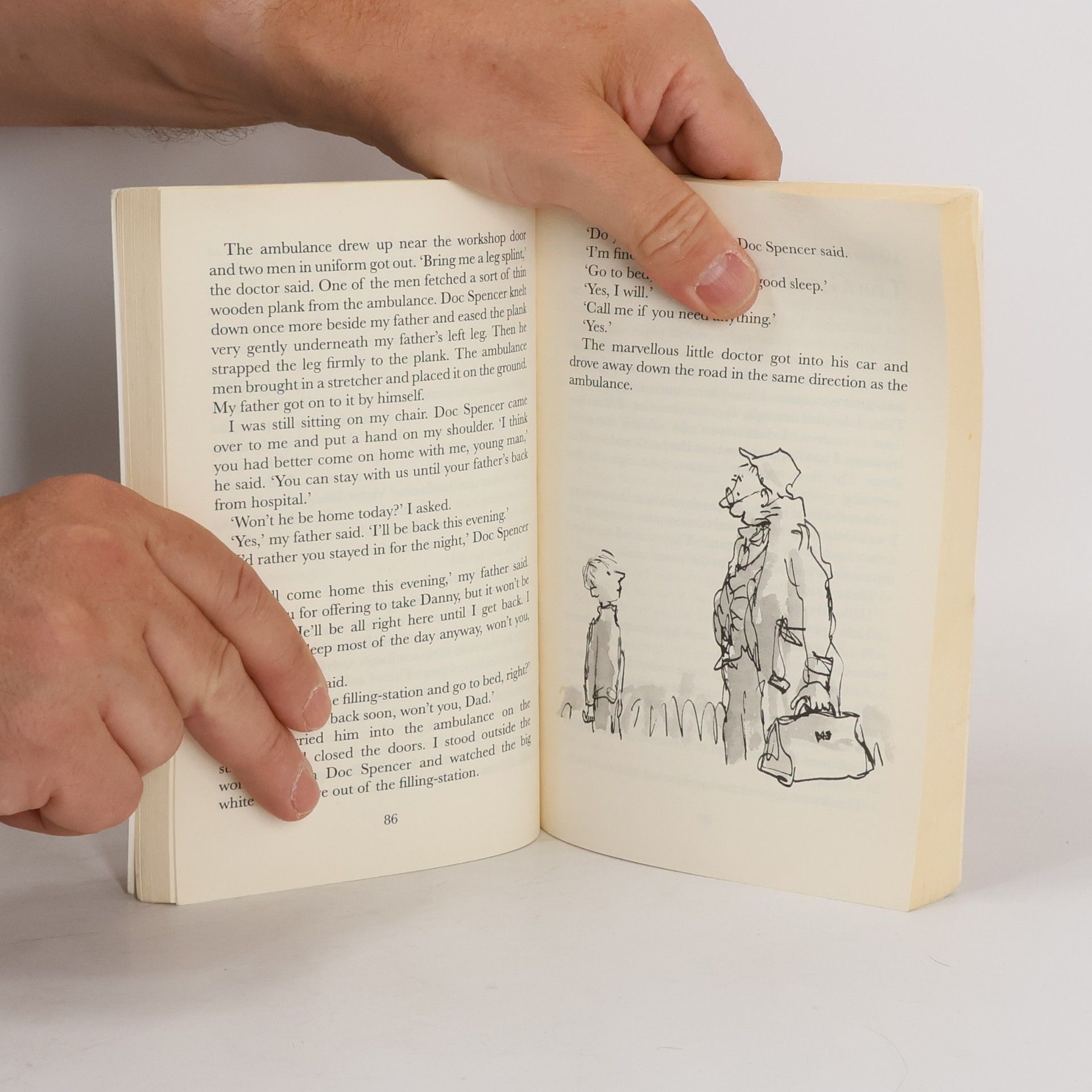Roald Dahl Danny, the Champion of the World