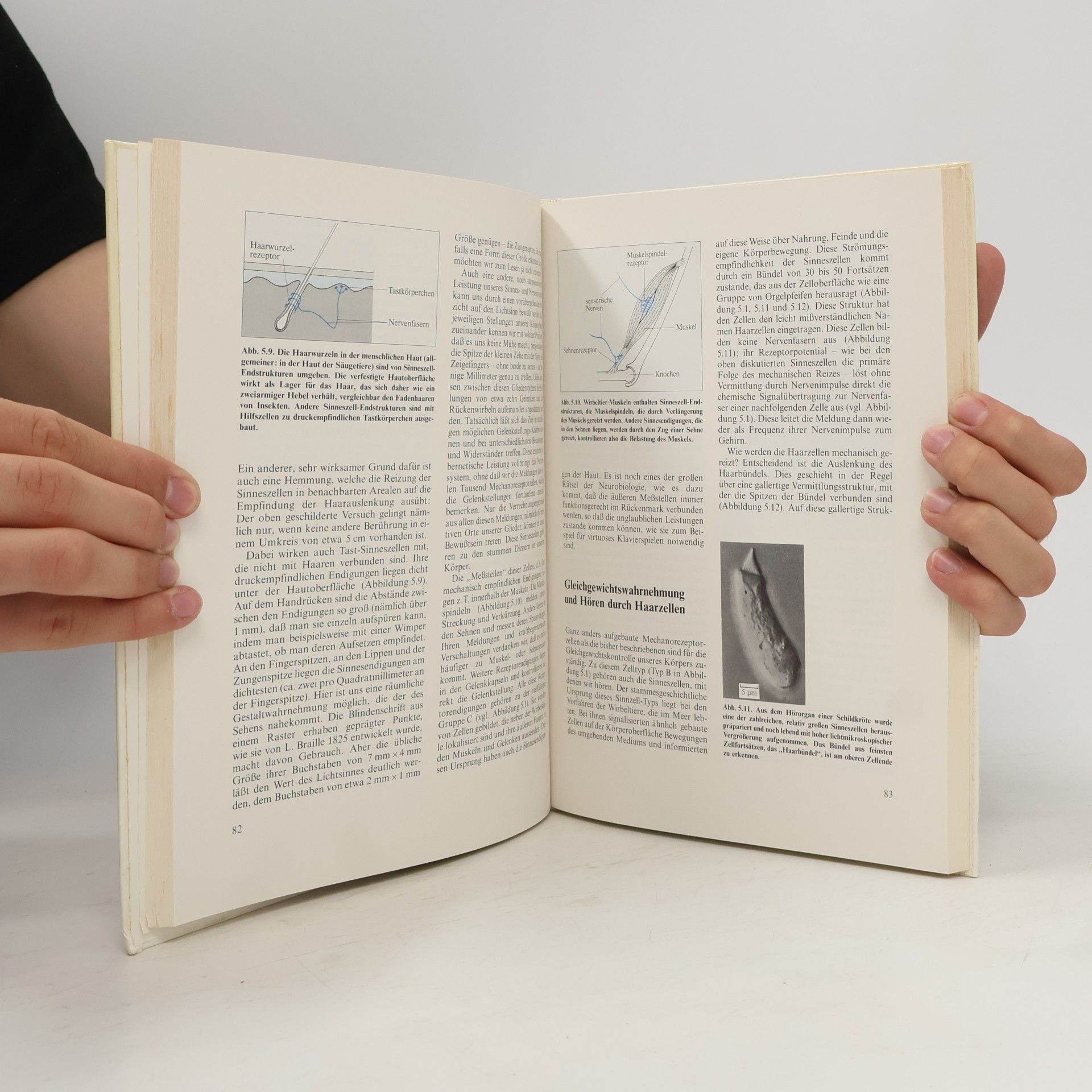 Alfred Maelicke Vom Reiz der Sinne