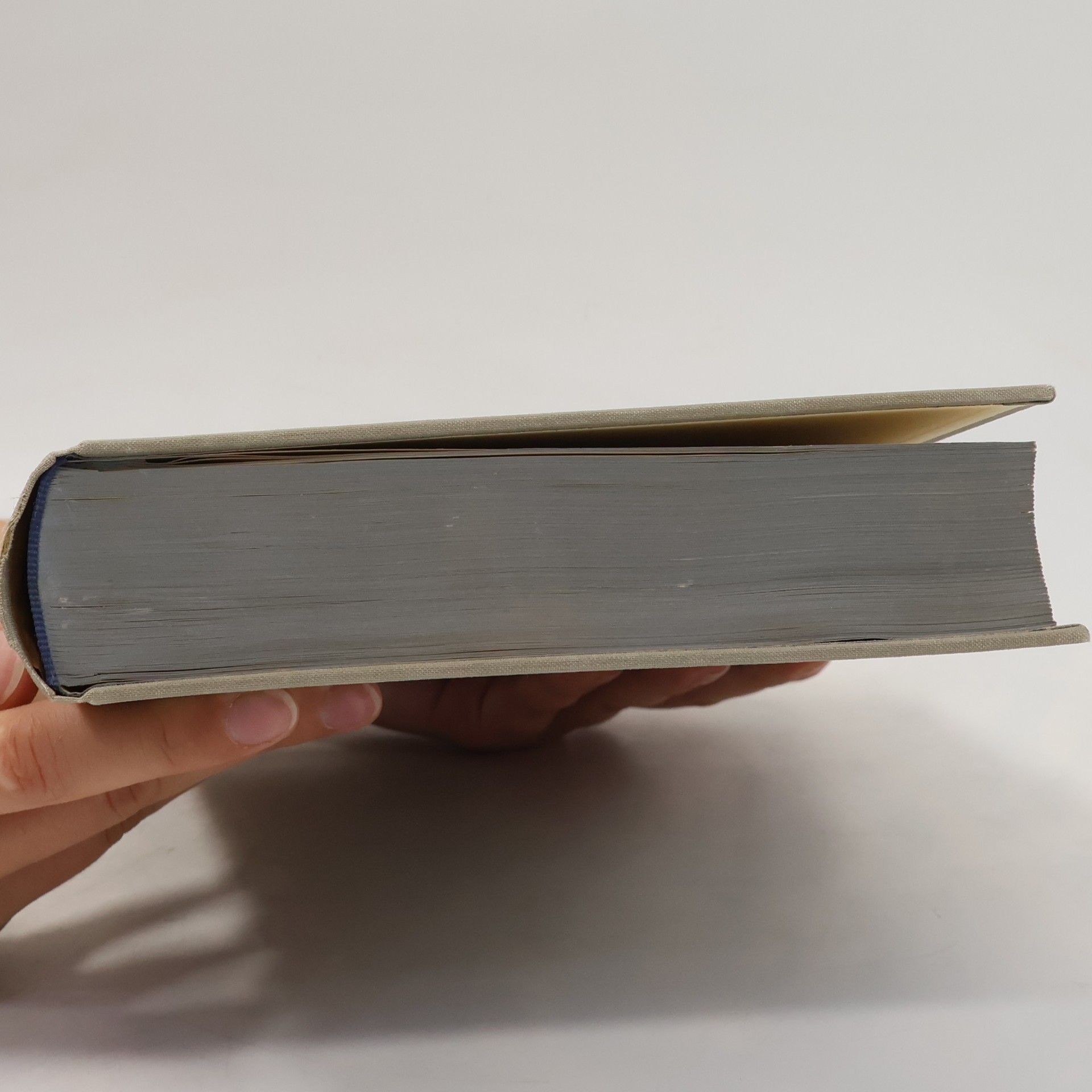 F. Pieth Bündnergeschichte