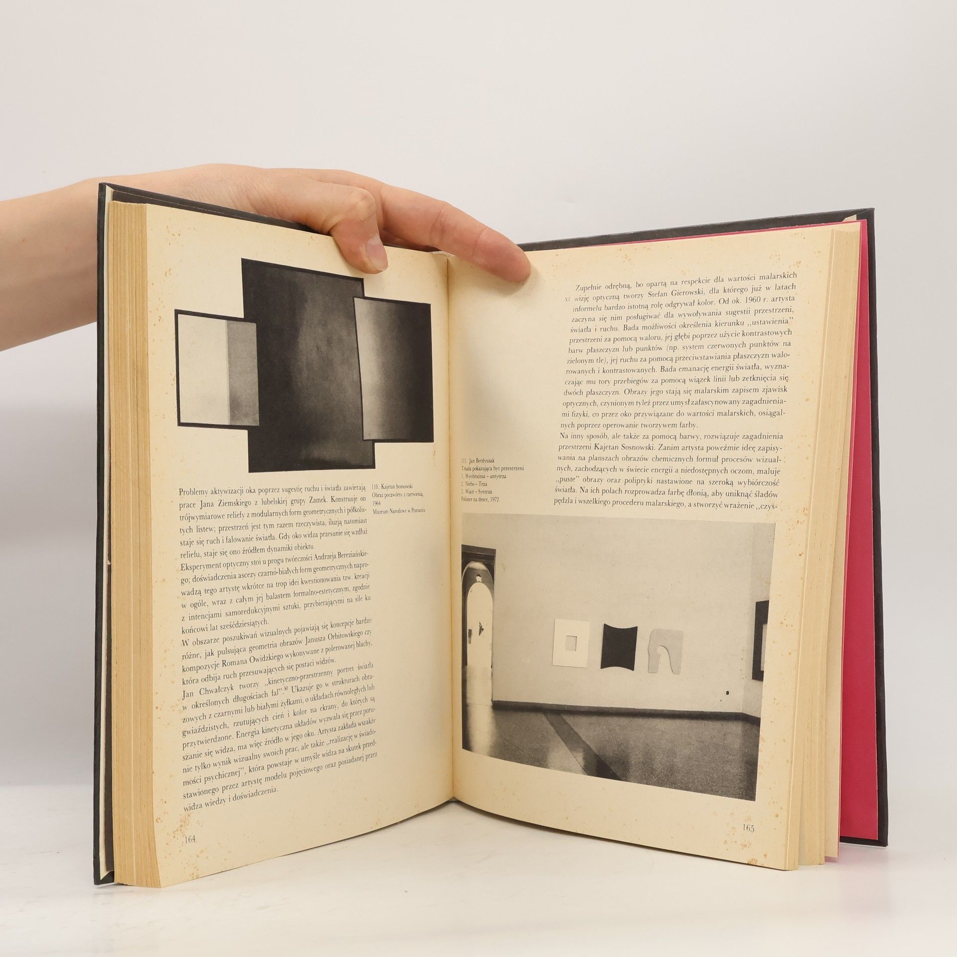 Alicja Kępińska Nowa sztuka. Sztuka polska w latach 1945-1978