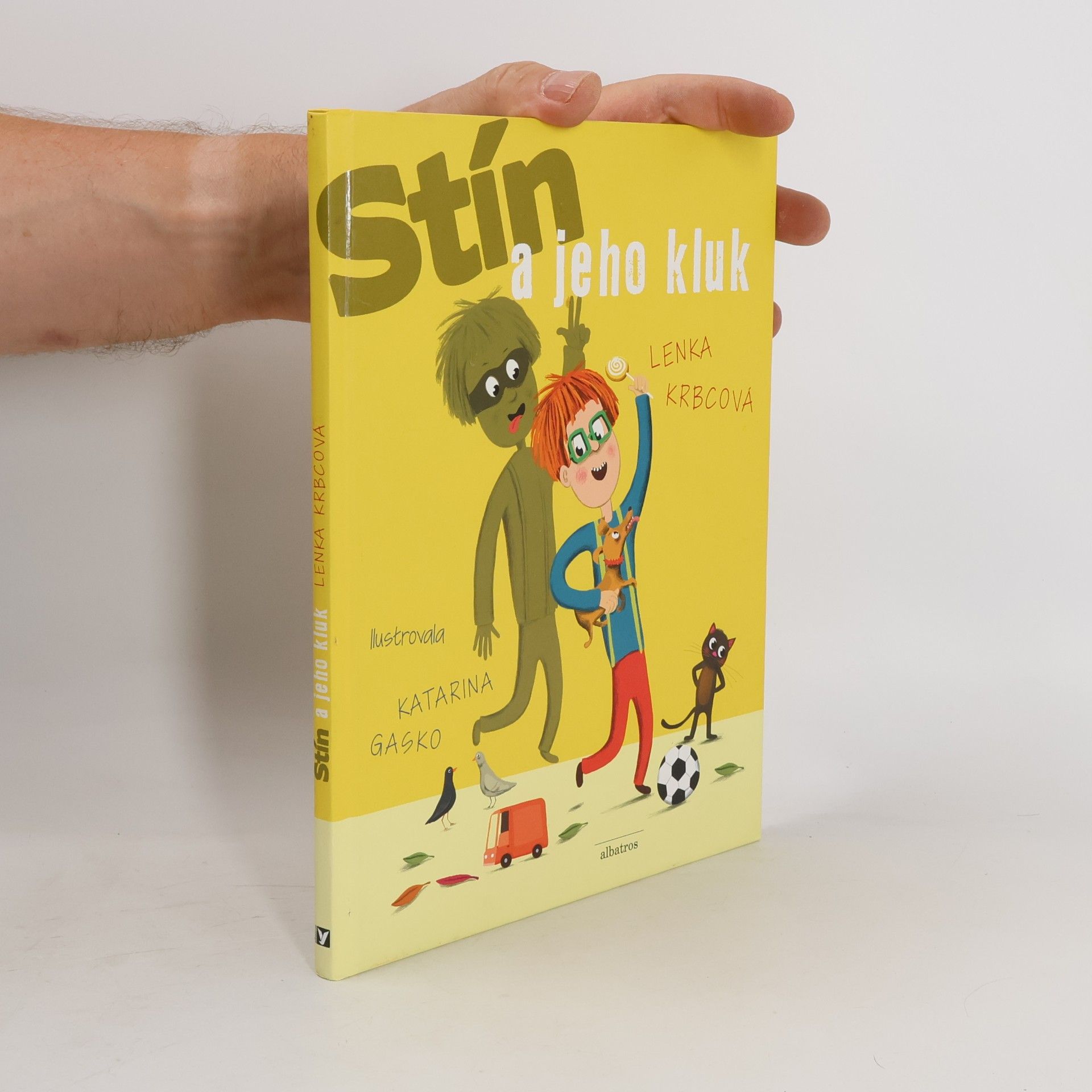 Lenka Krbcová Stín a jeho kluk
