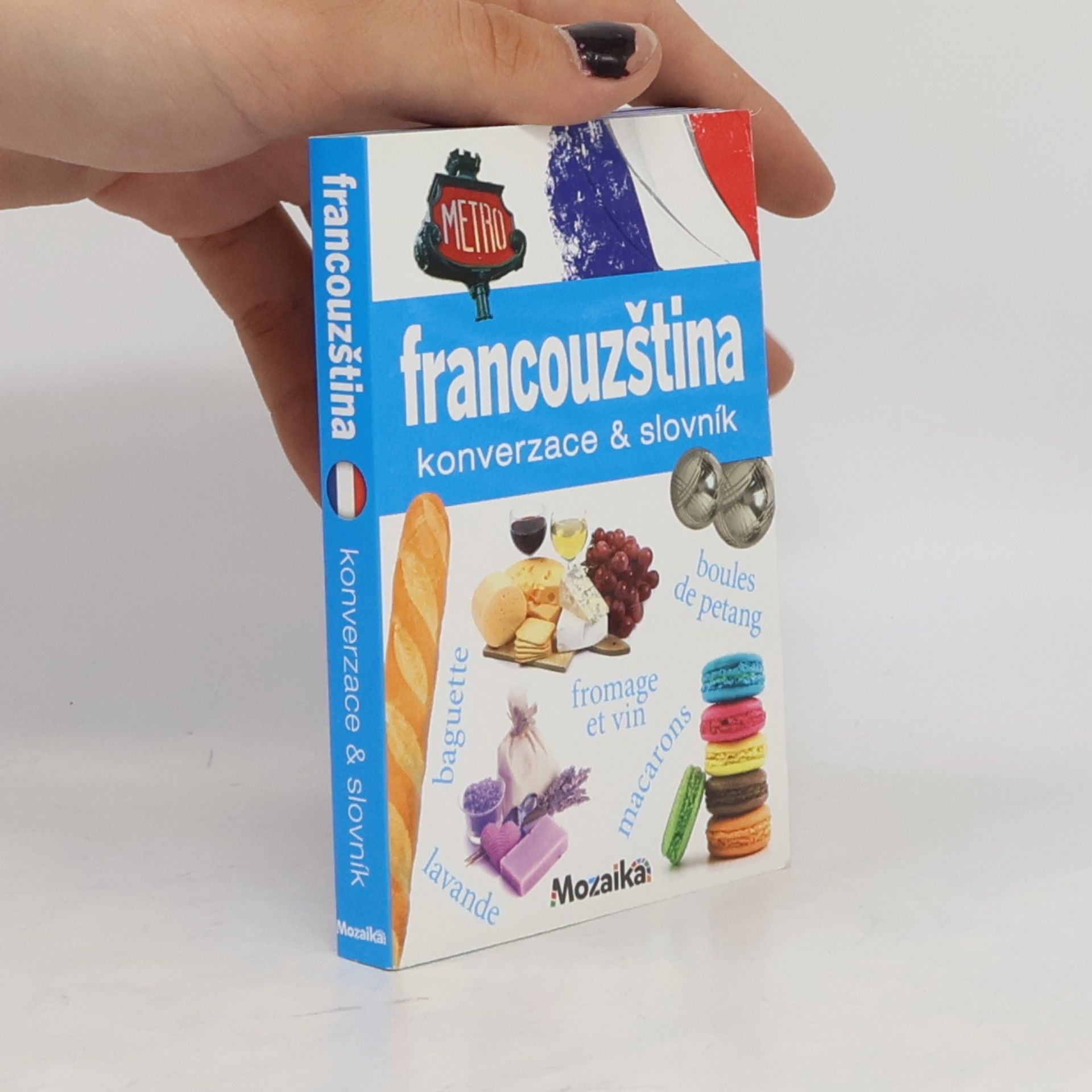 Pavlína Vaňková Francouzština : konverzace & slovník