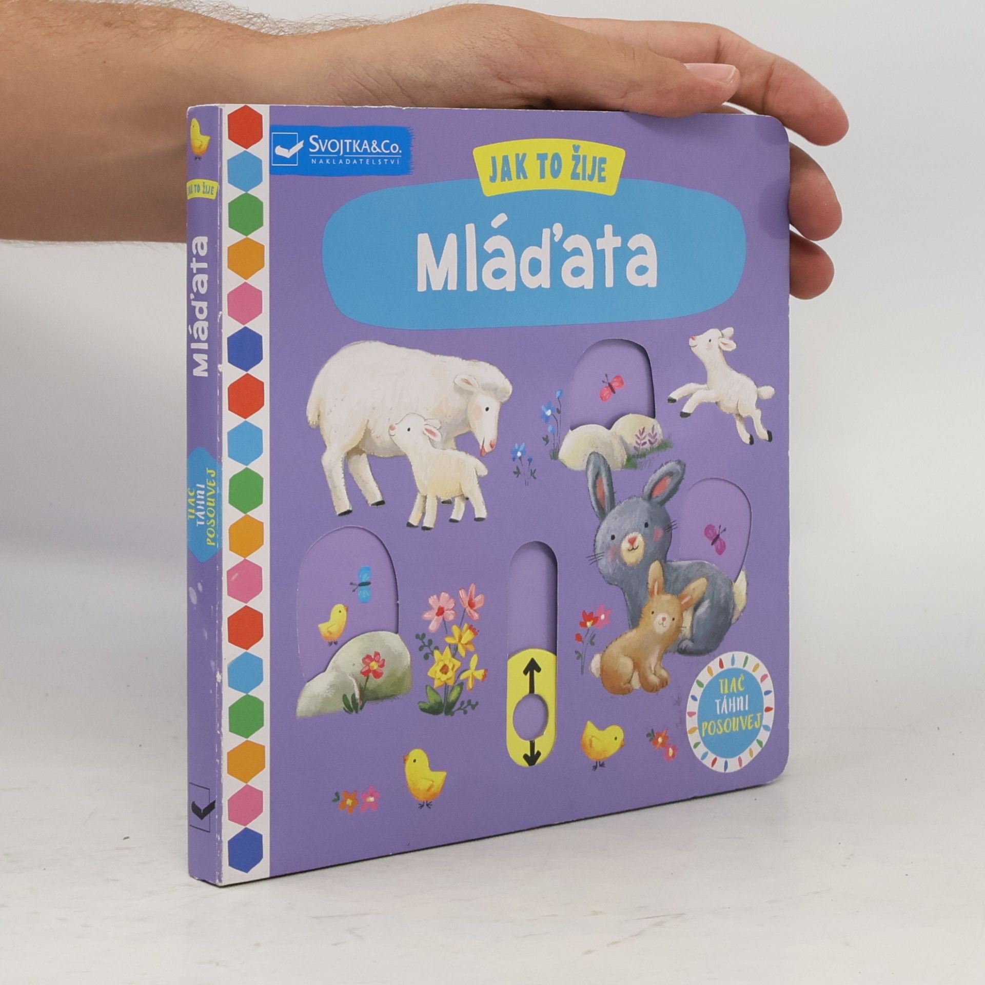 Ag Jatkowska Jak to žije mláďata