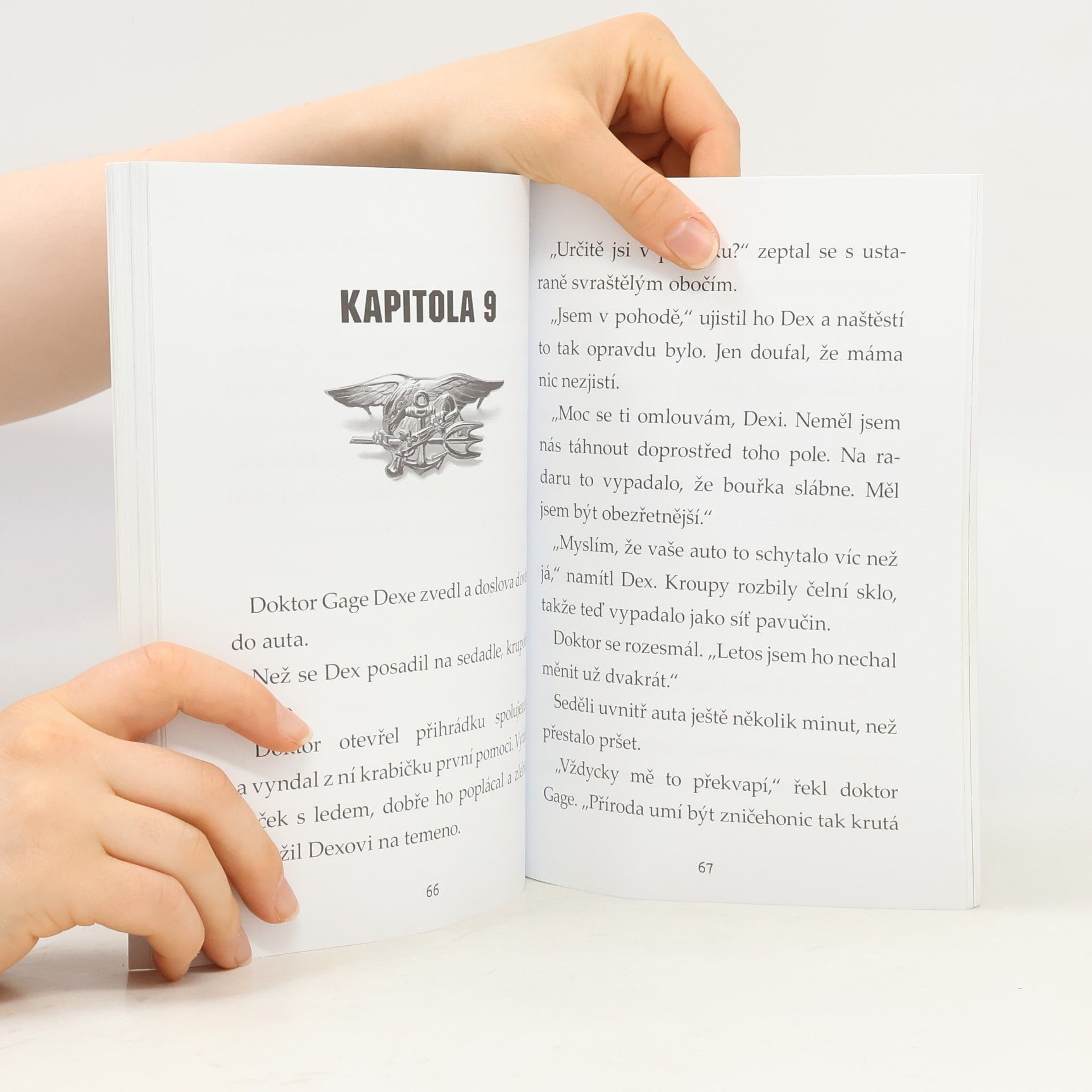 Lauren Tarshis Zuřící živel: přežil jsem tornádo v Joplinu, 2011