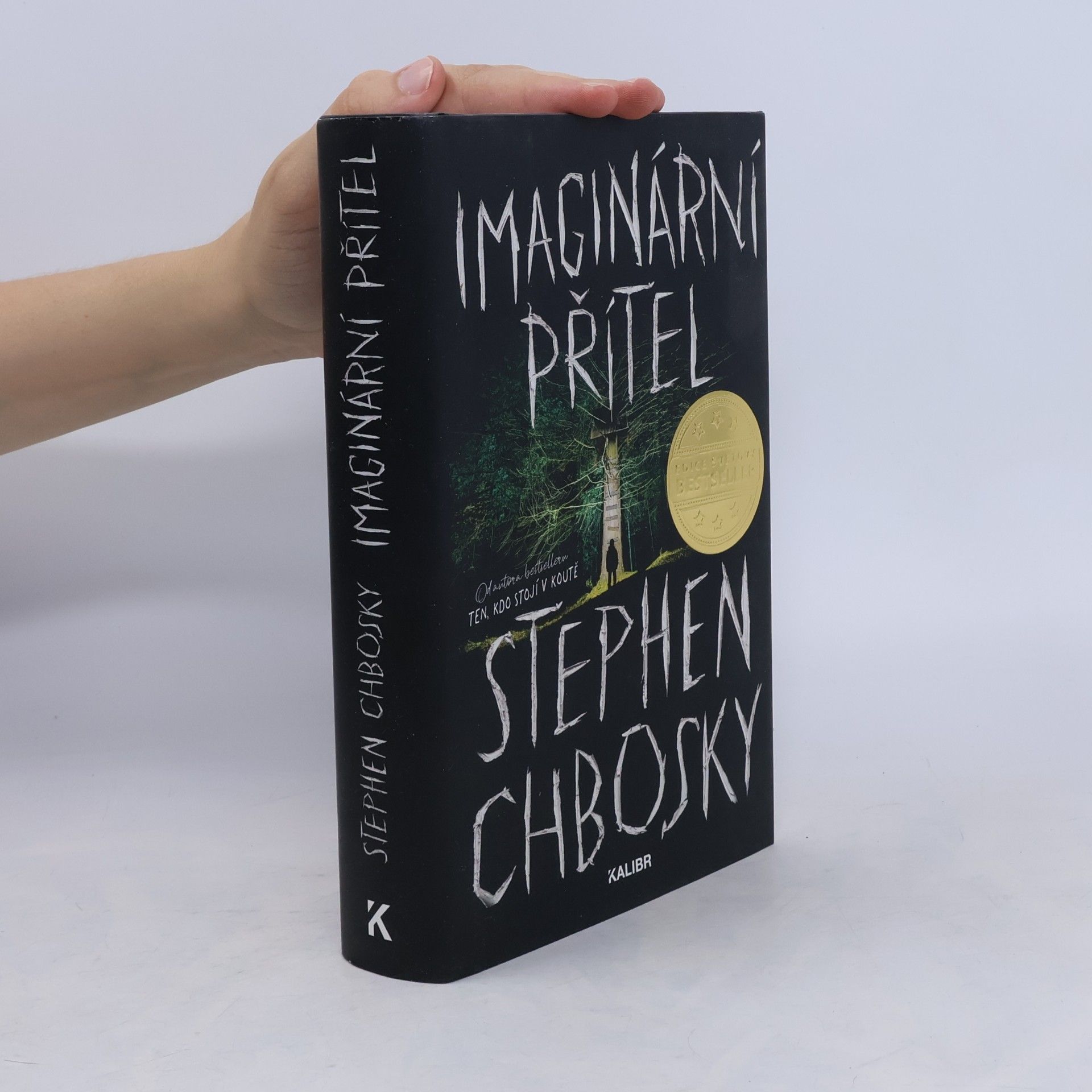 Stephen Chbosky Imaginární přítel