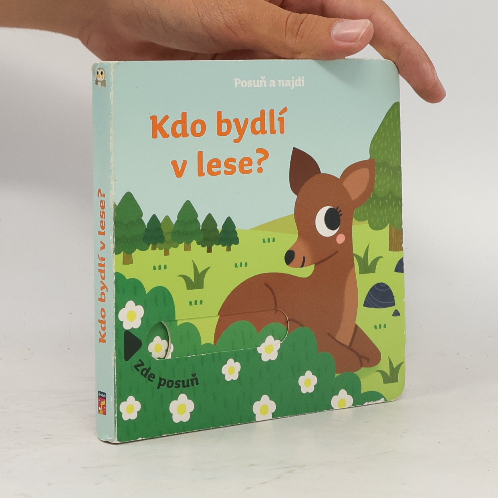 Autorenkollektiv Kdo bydlí v lese?