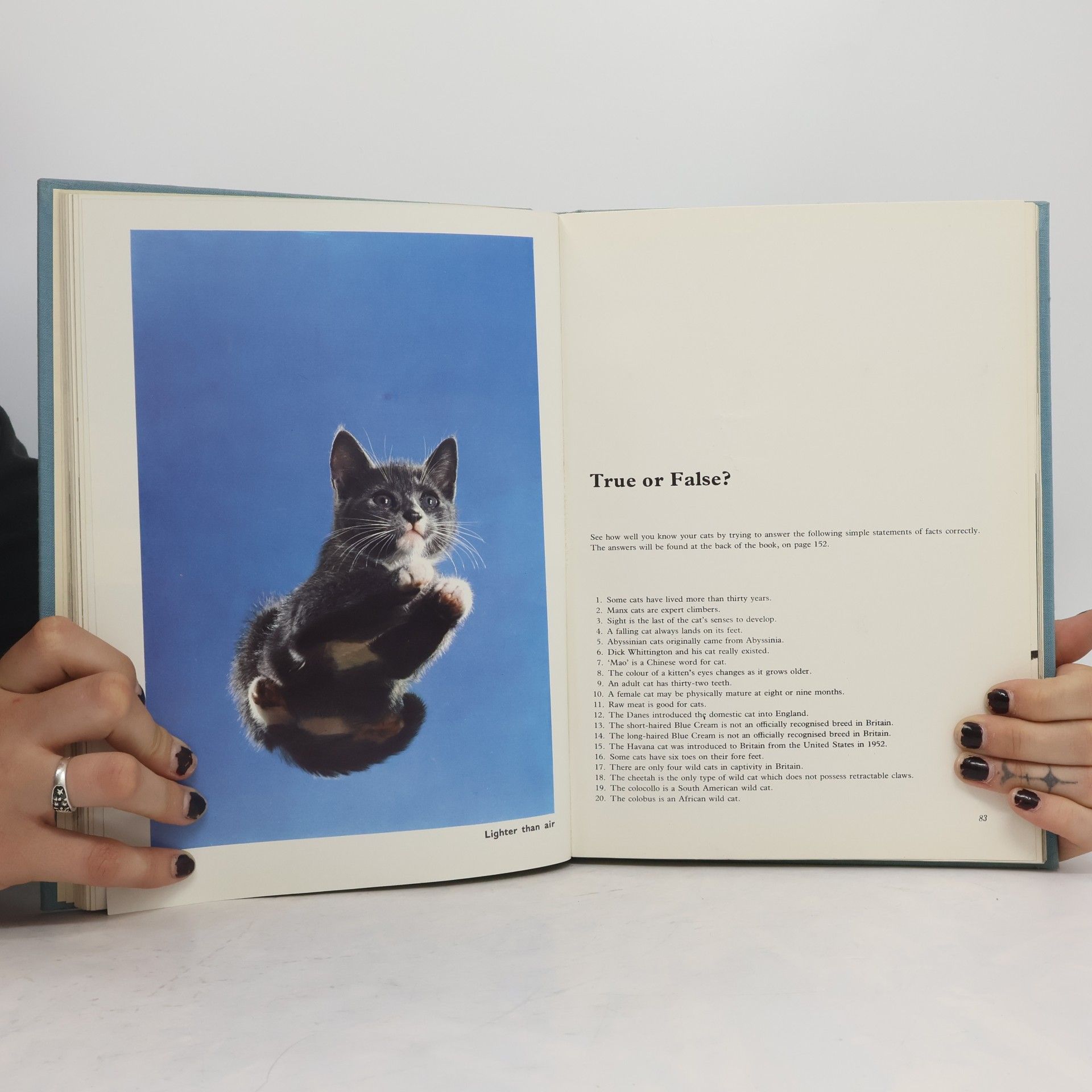 Paul Hamlyn Cats