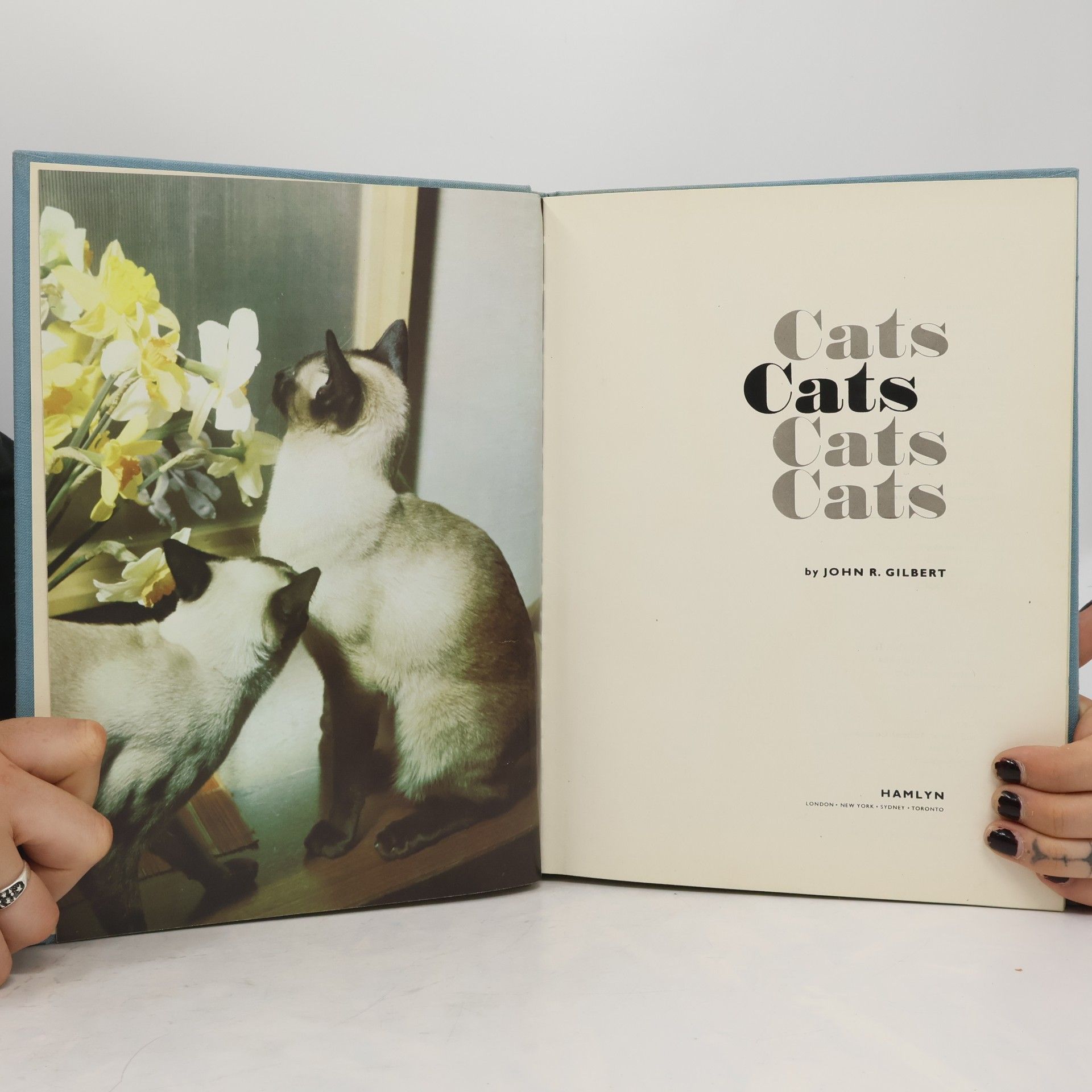 Paul Hamlyn Cats