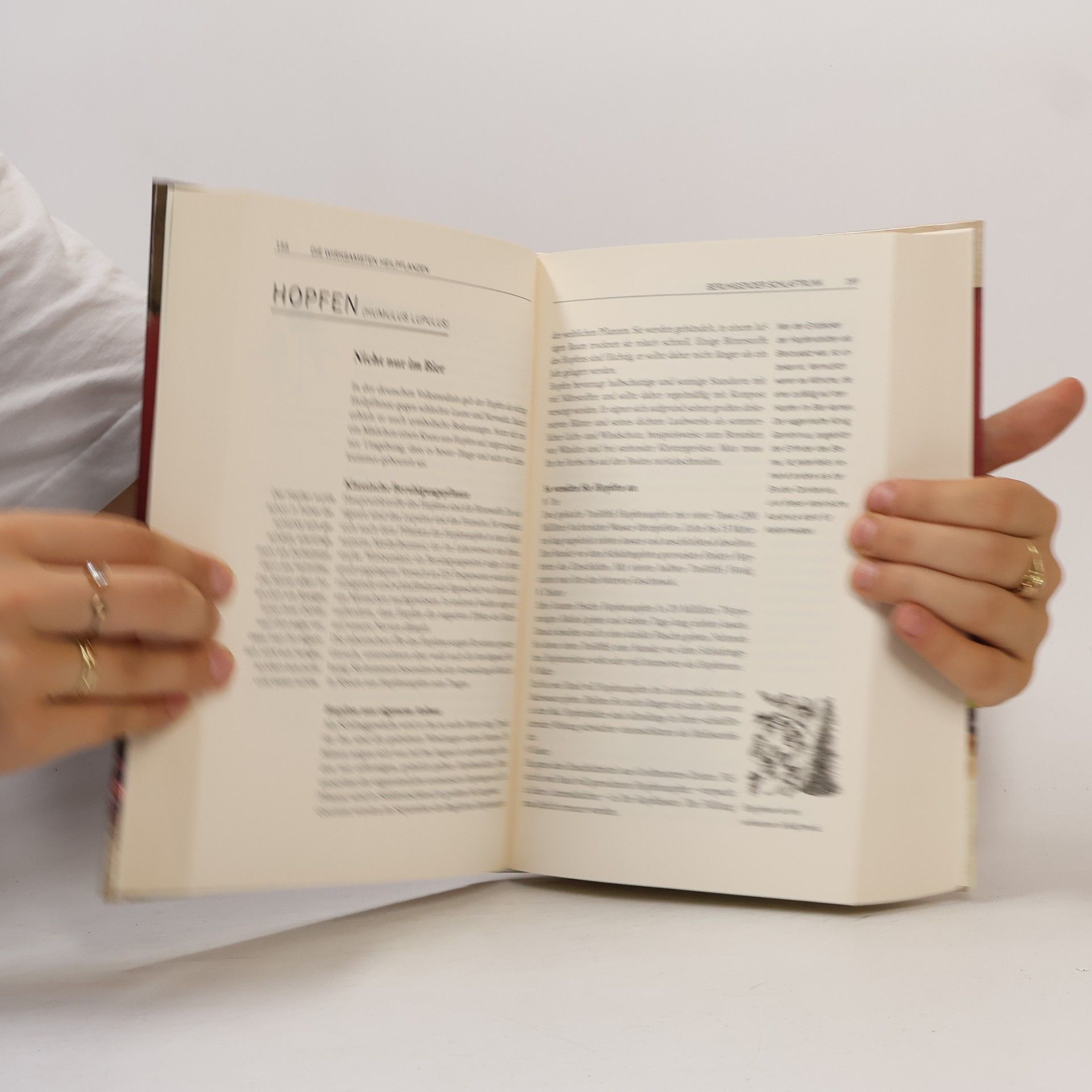 Jörg Conradi Omas großes Gesundheitsbuch