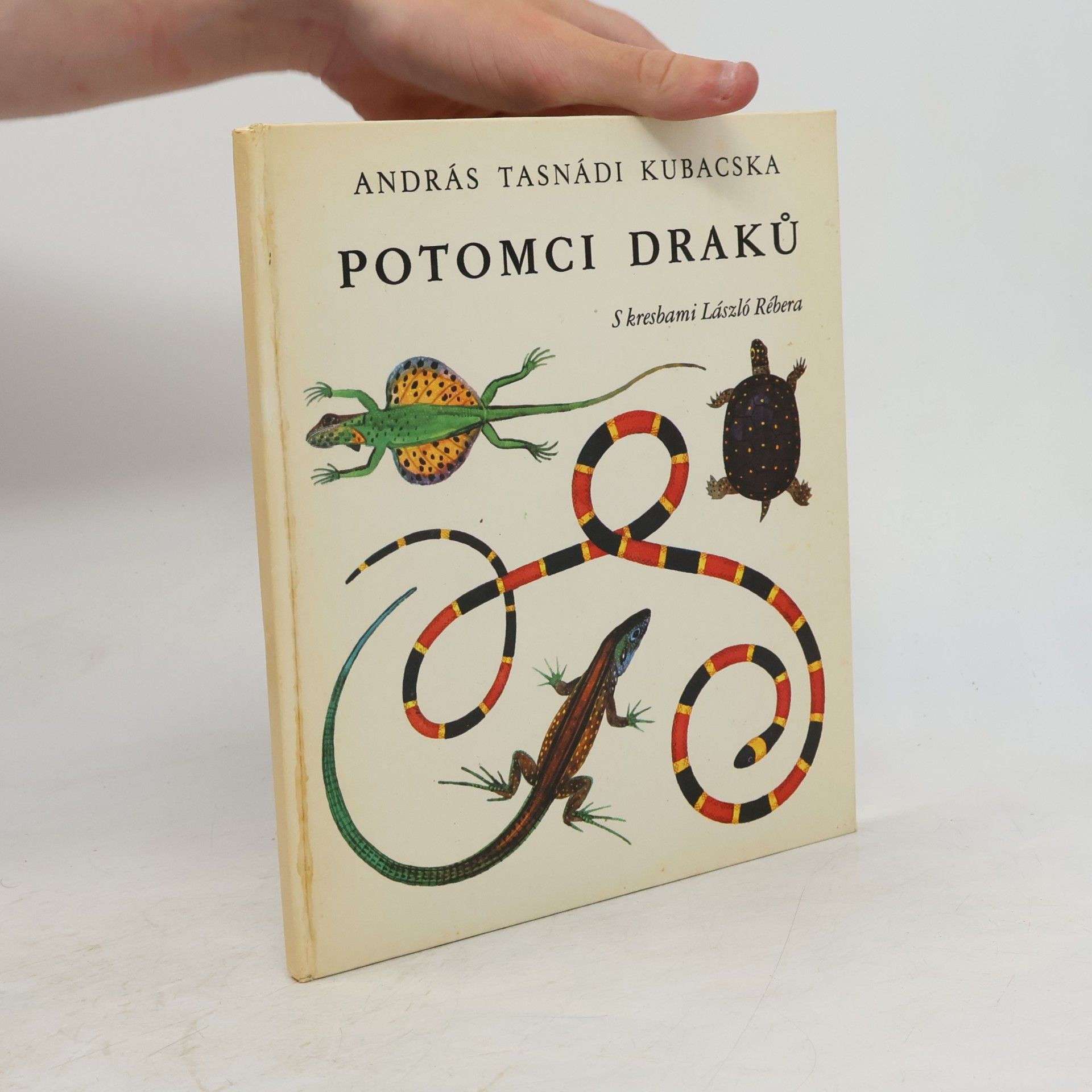 András Tasnádi Kubacska Potomci draků