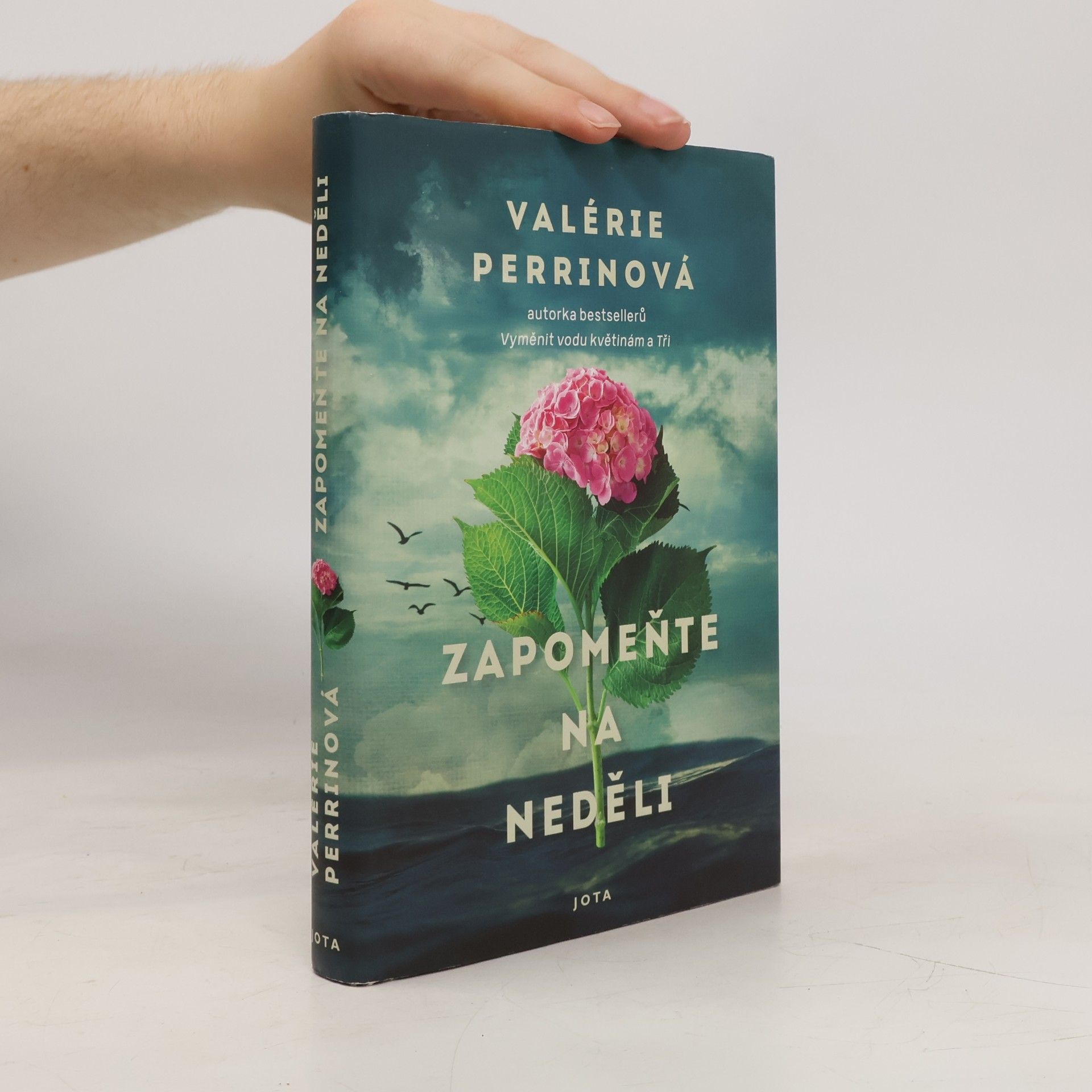 Valérie Perrin Zapomeňte na neděli