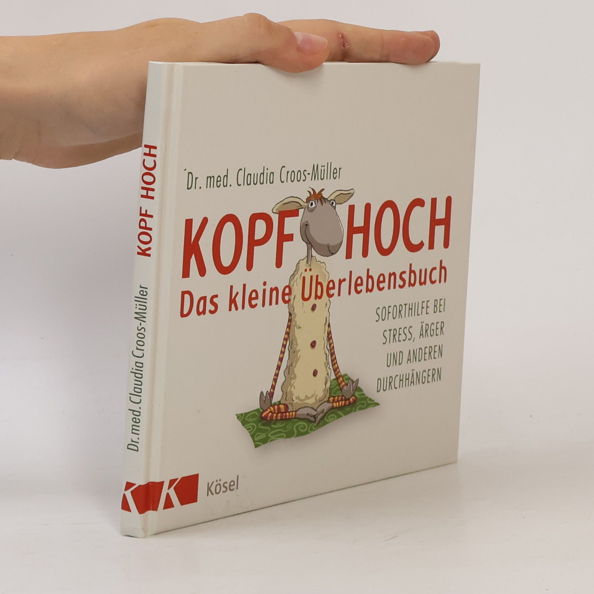 Claudia Cross-Müller Kopf hoch - das kleine Überlebensbuch