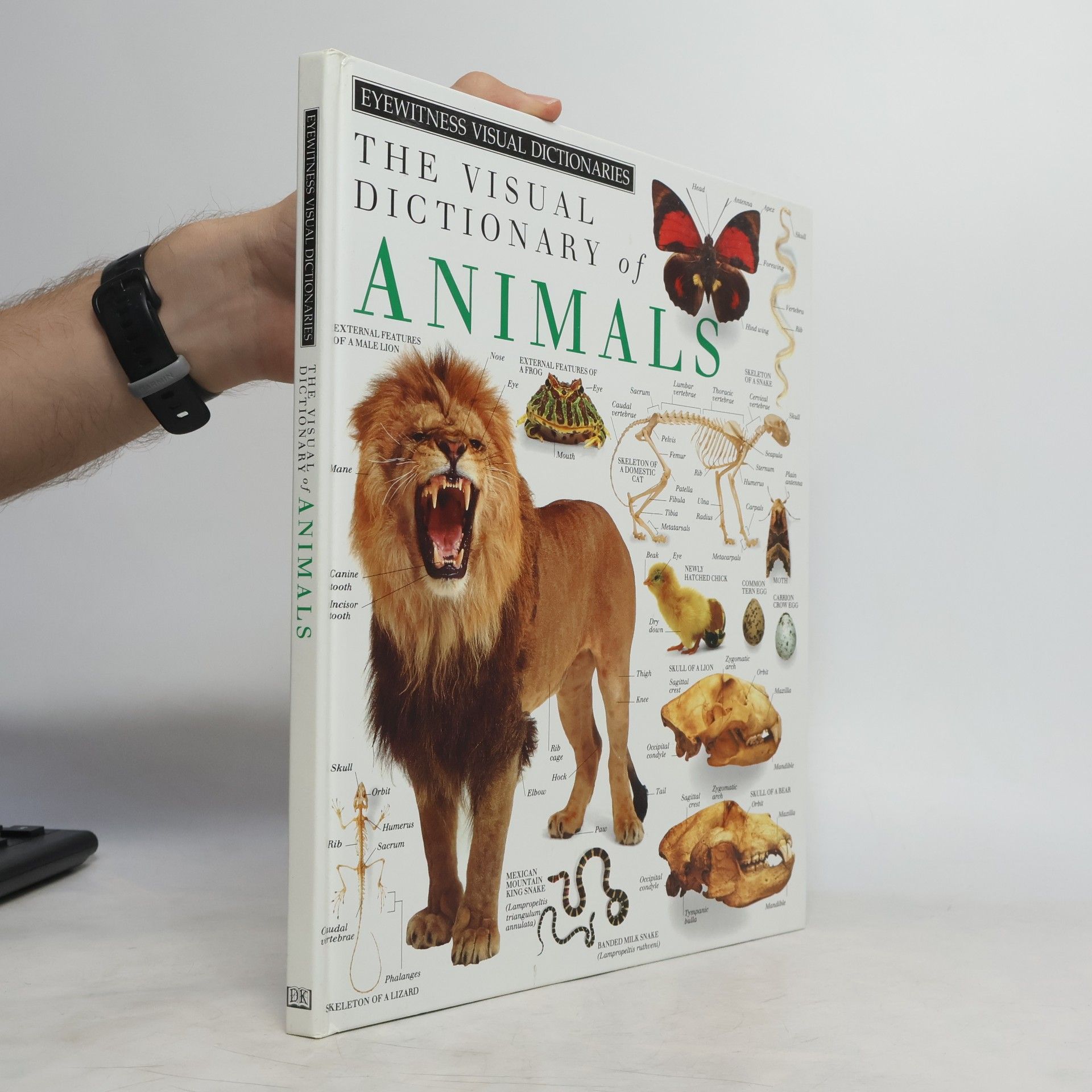 Clare Shedden Eyewitness Visual Dictionaries: The Visual Dictionary of Animals