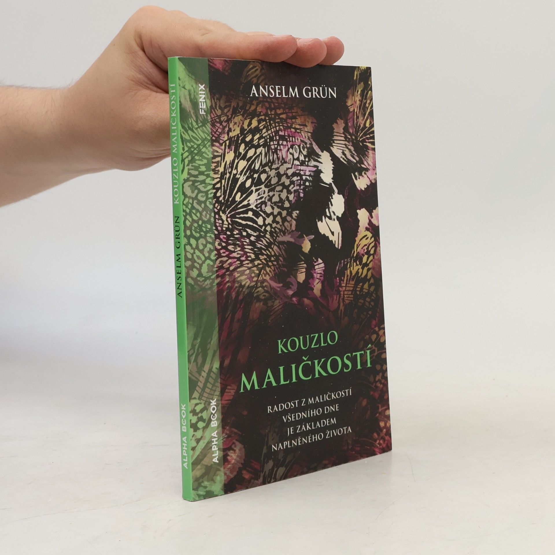 Martina Valentová Kouzlo maličkostí : radost z maličkostí všedního dne je základem naplněného života