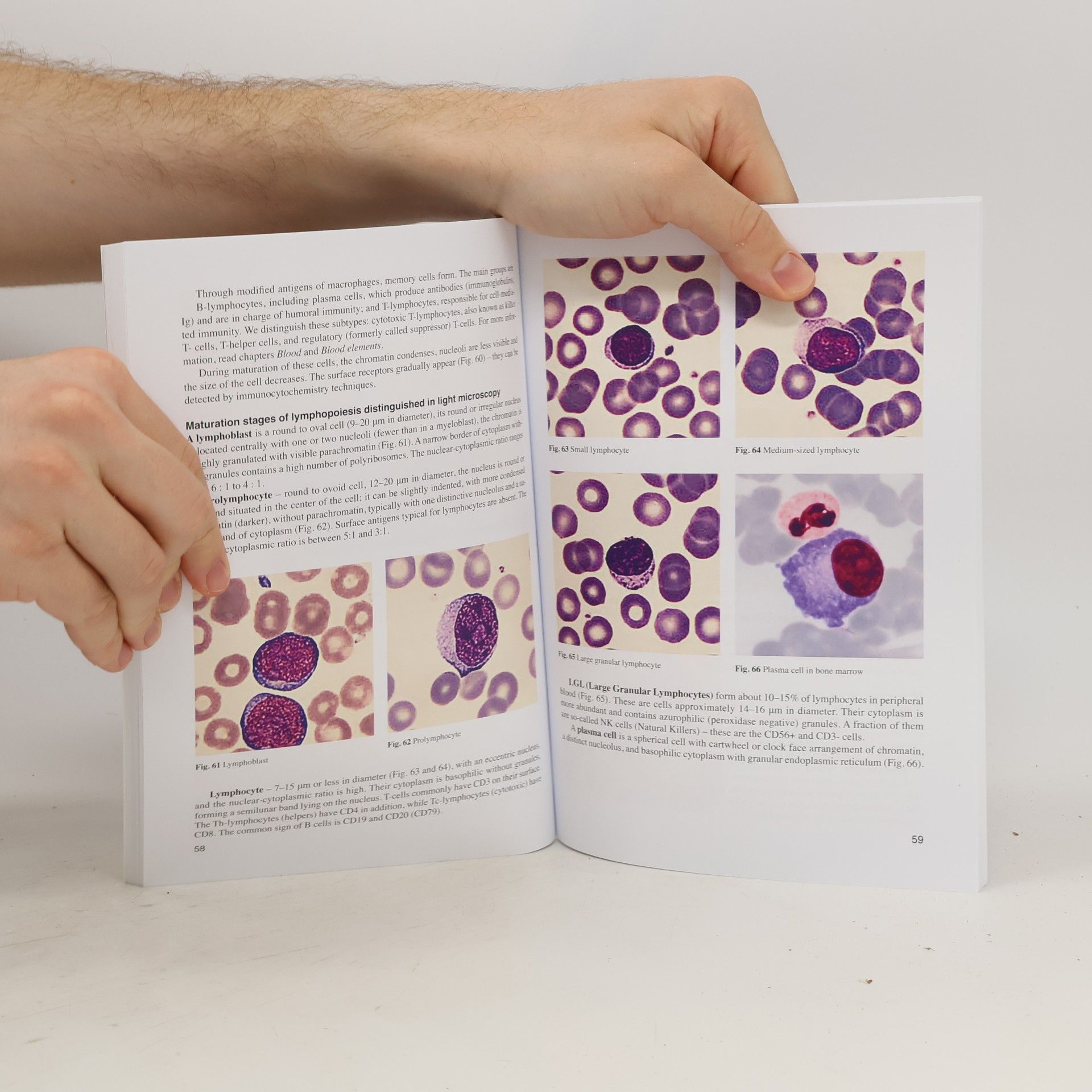 Věra Křížková Blood and Blood Components