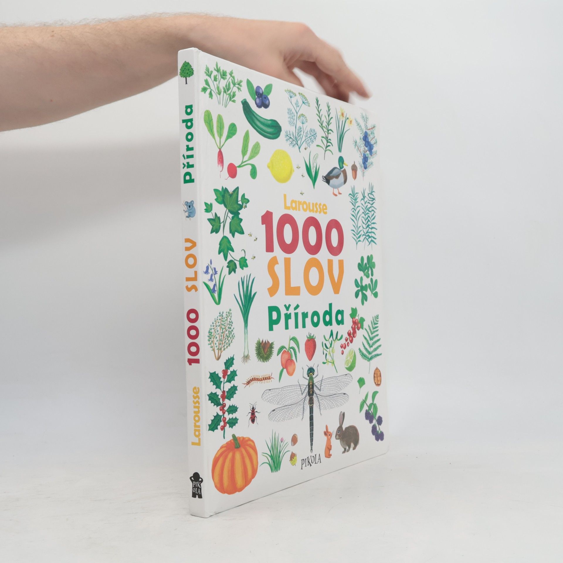Kateřina Kyslíková 1000 slov : příroda
