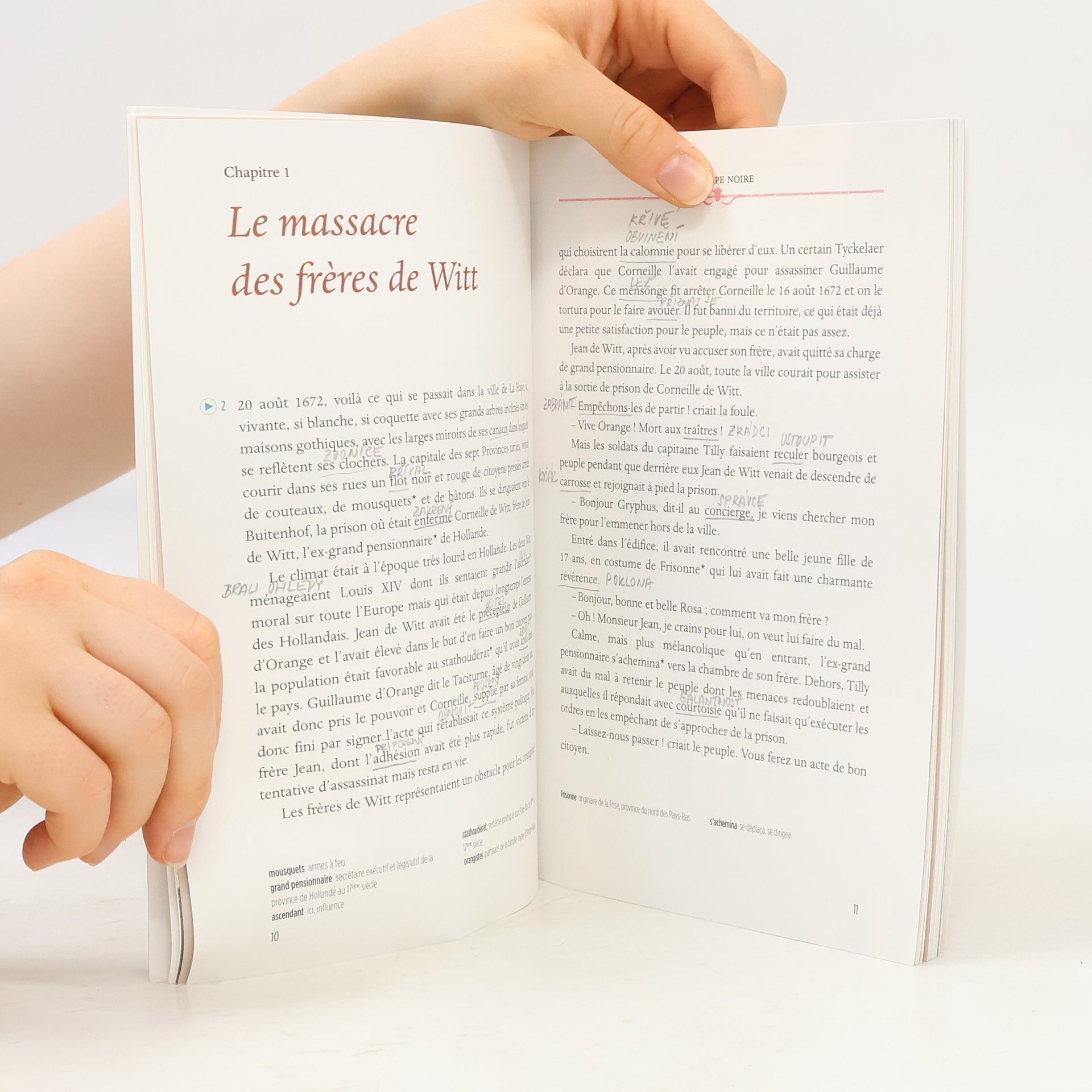 Alexandre Dumas der Ältere La tulipe noire