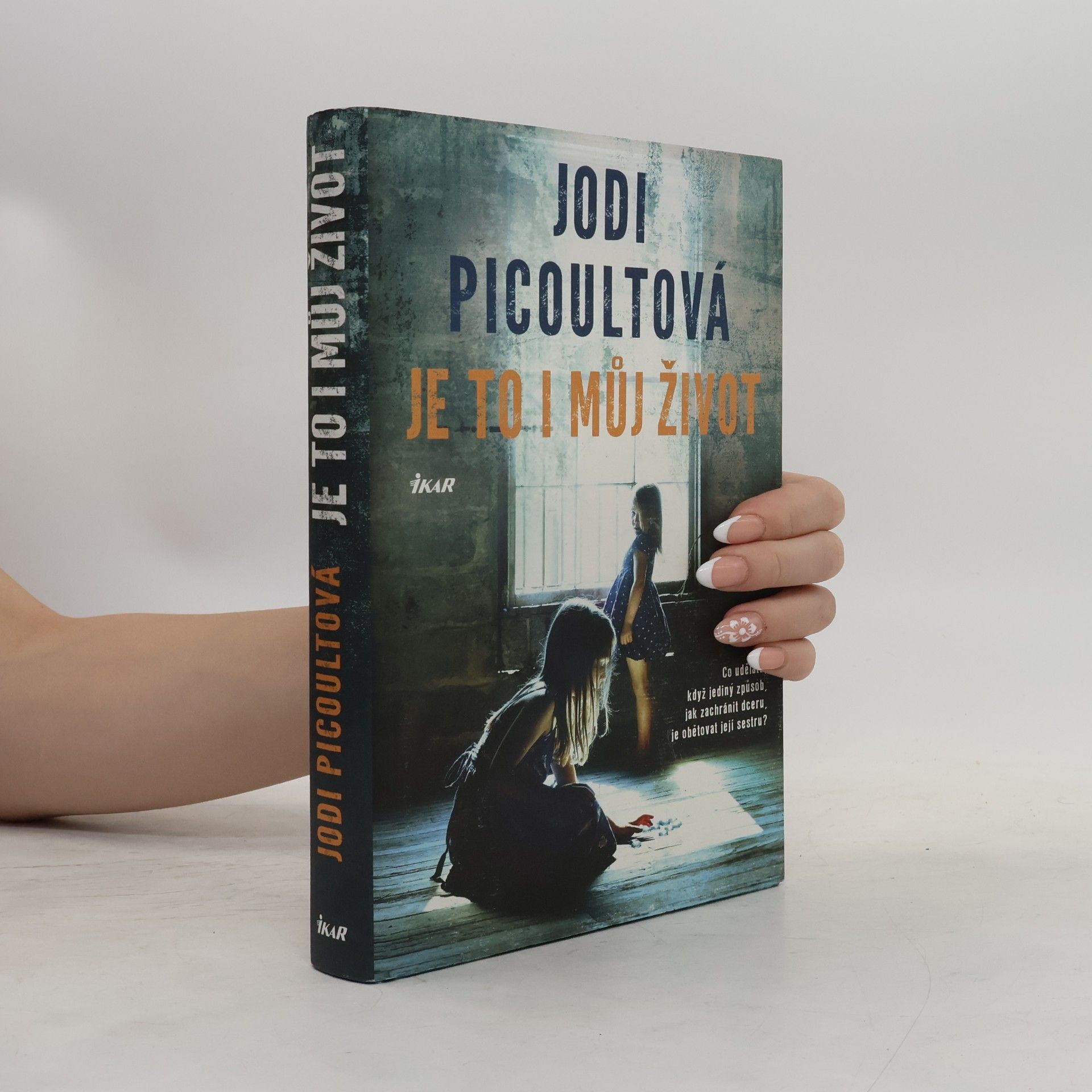 Jodi Picoult Je to i můj život