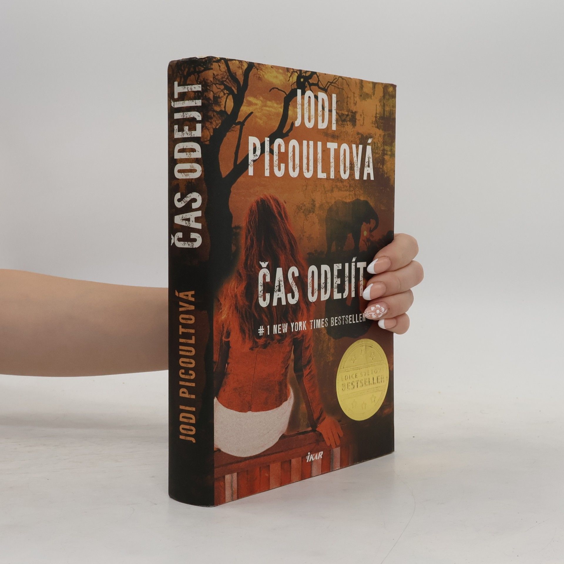 Jodi Picoult Čas odejít