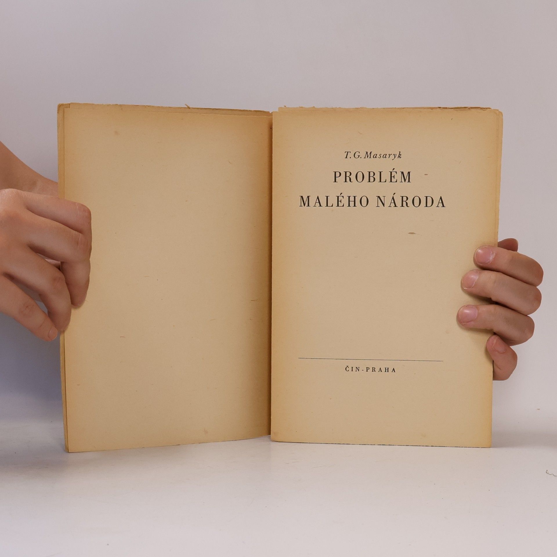 Tomáš Garrigue Masaryk Problém malého národa