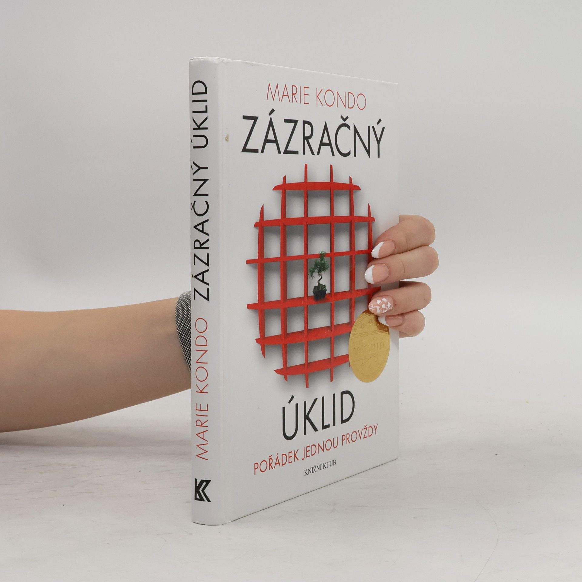 Marie Kondō Zázračný úklid