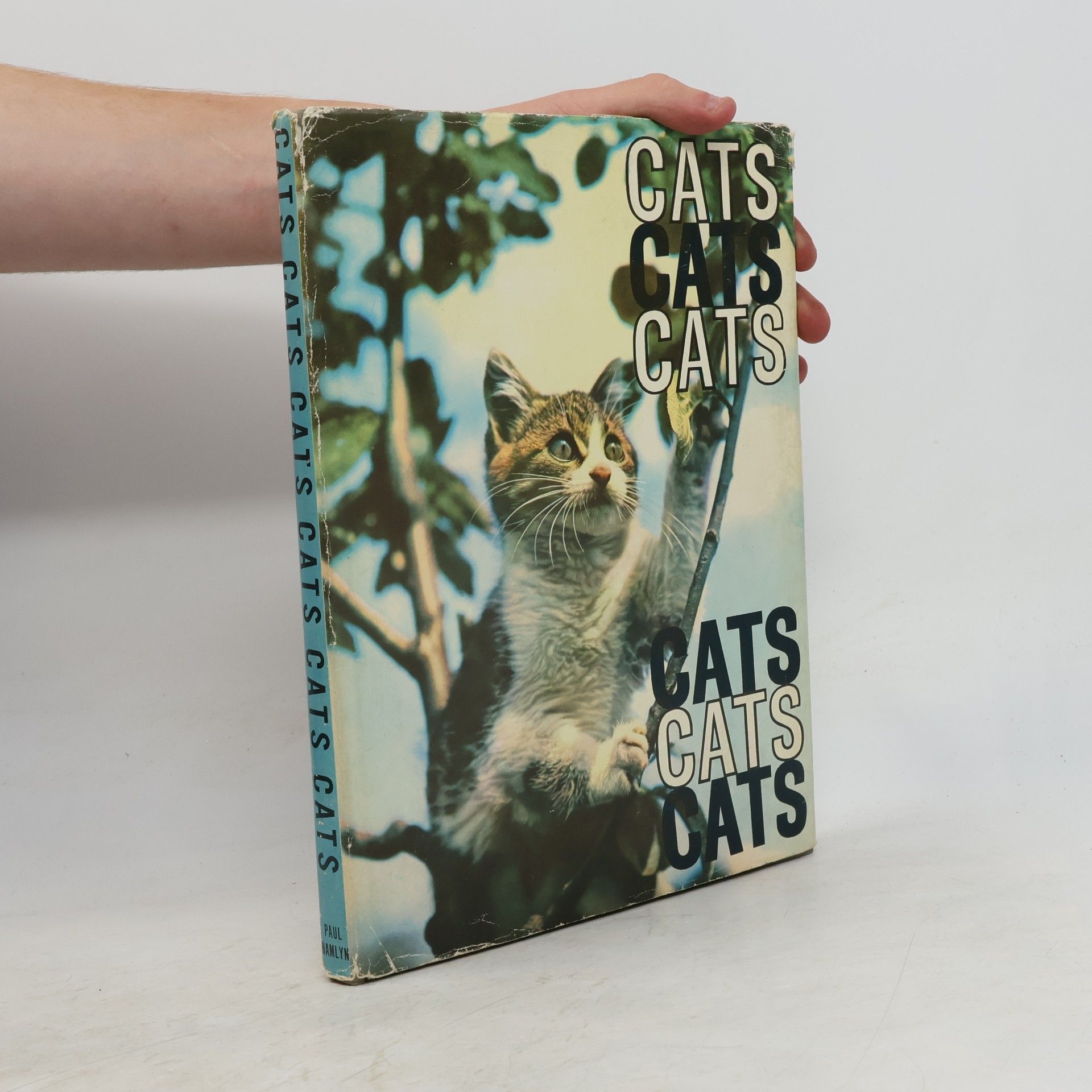 John R. Gilbert Cats Cats Cats Cats Cats Cats