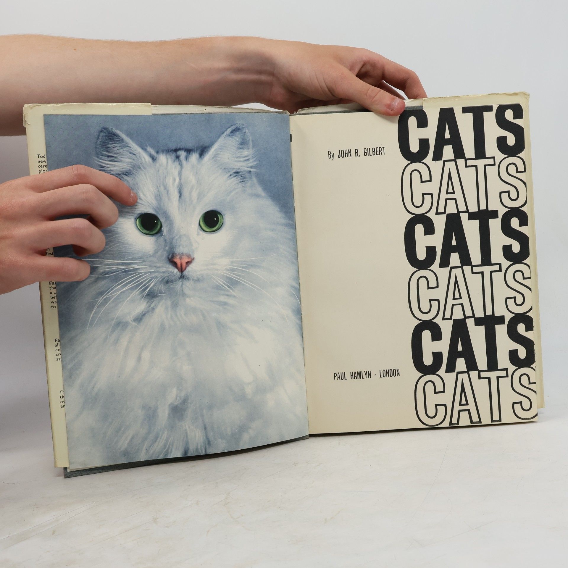 John R. Gilbert Cats Cats Cats Cats Cats Cats