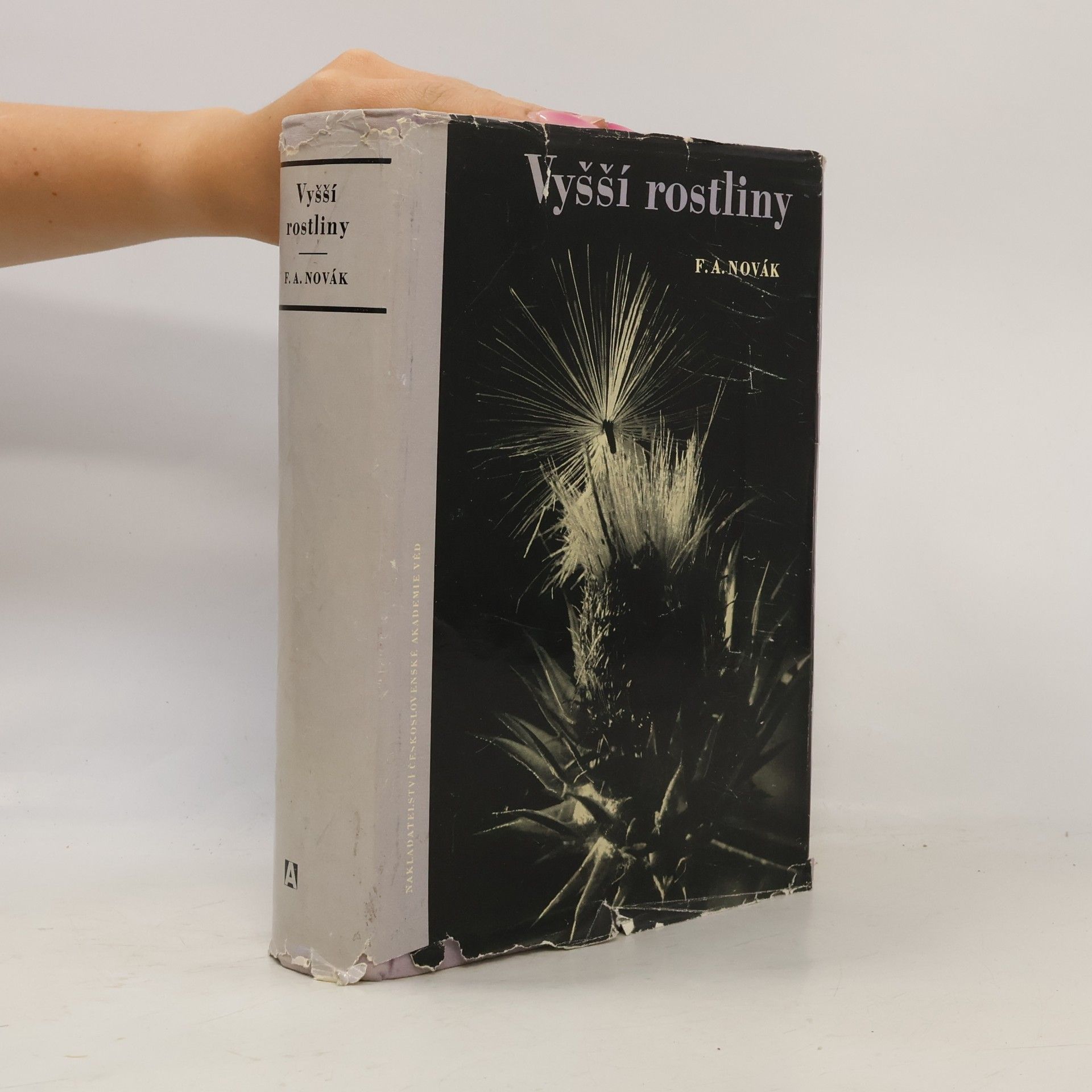 František Antonín Novák Vyšší rostliny : tracheophyta