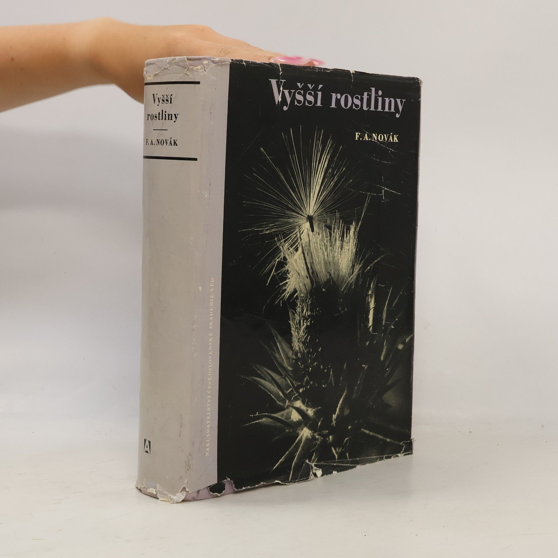 František Antonín Novák Vyšší rostliny : tracheophyta