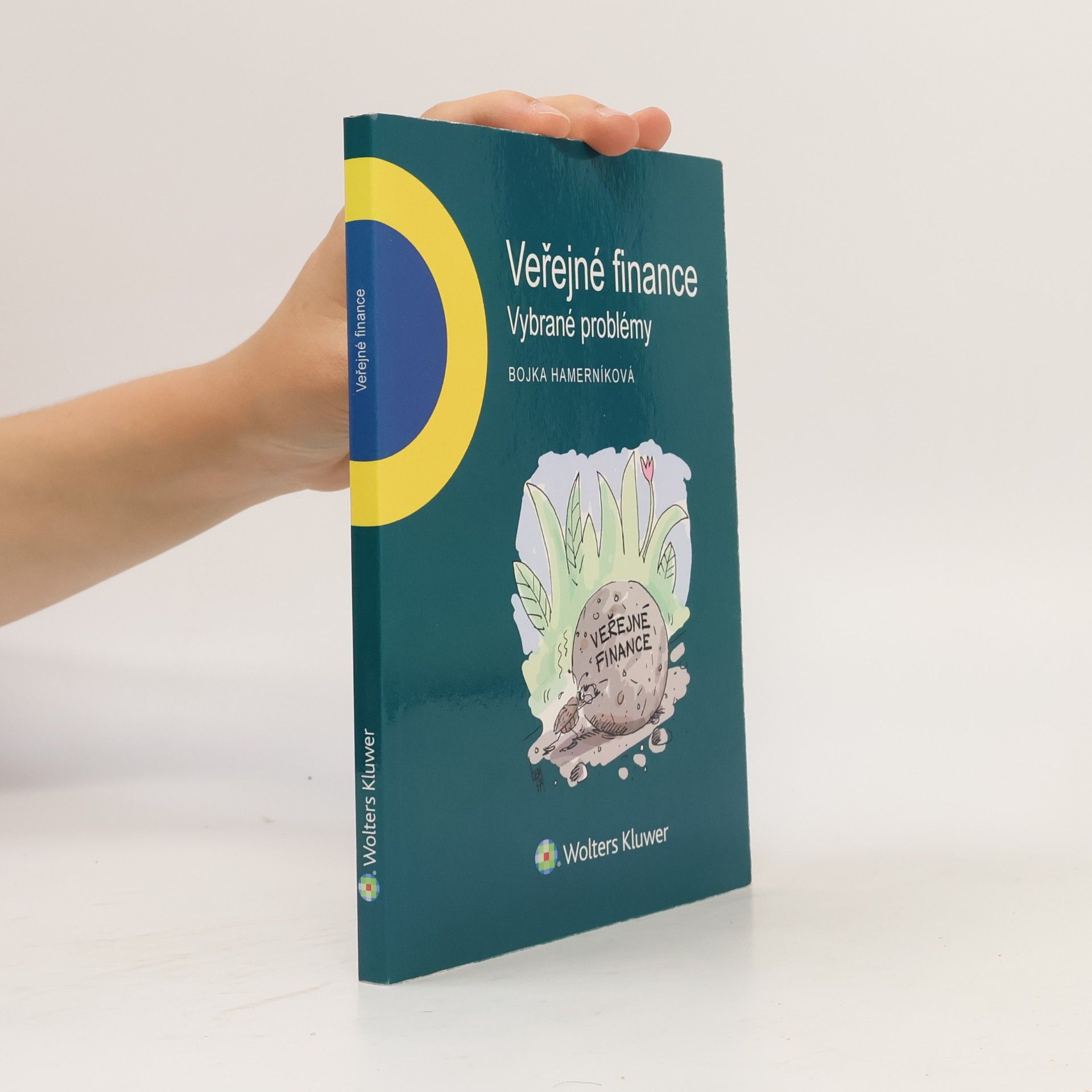 Bojka Hamerníková Veřejné finance - vybrané problémy