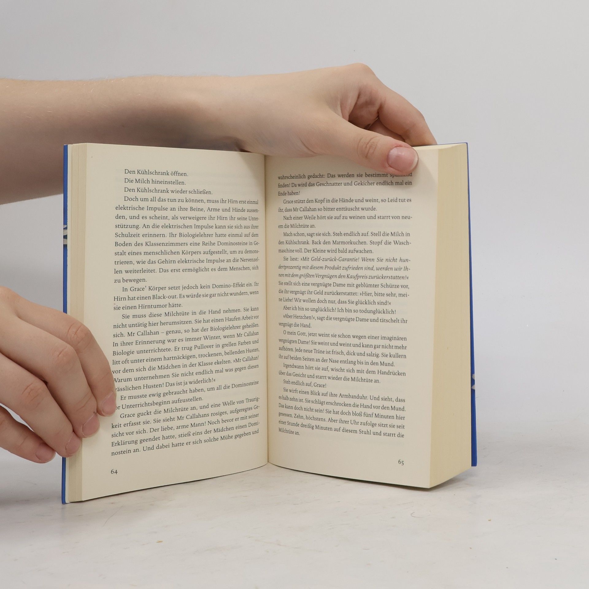 Liane Moriarty Ein Geschenk des Himmels