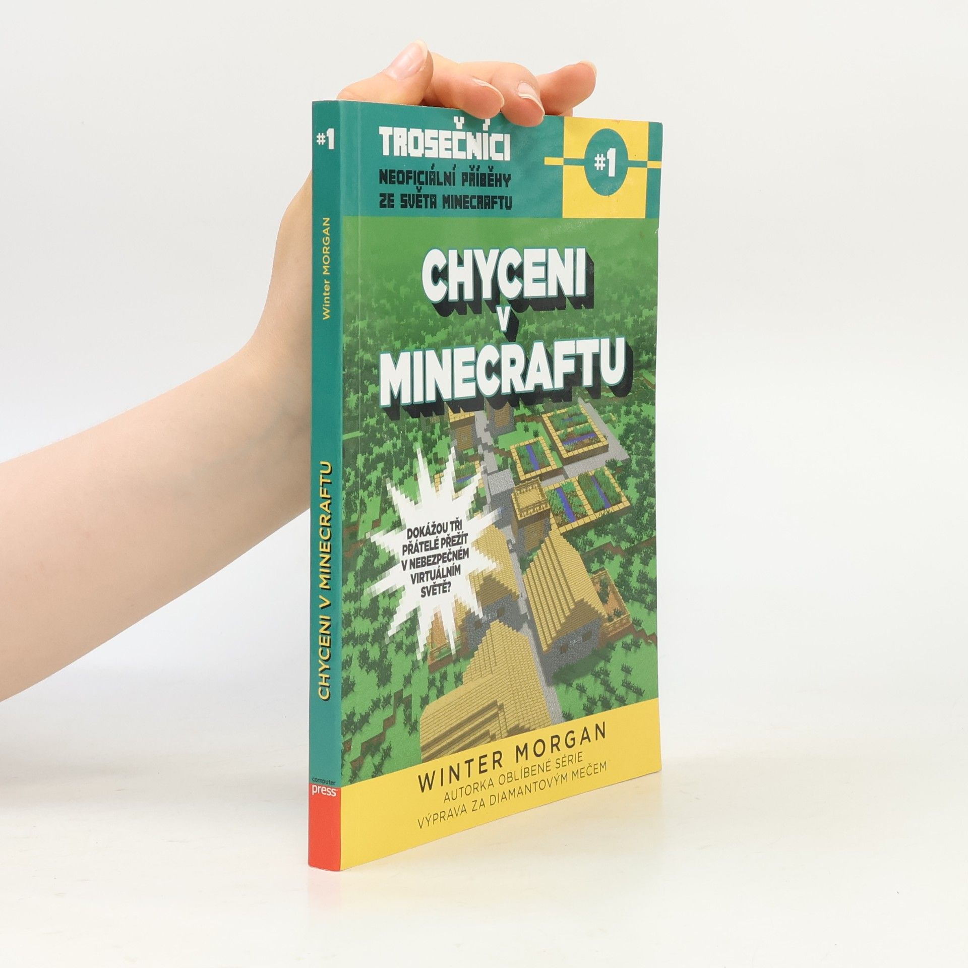 Winter Morgan Trosečníci. Kniha první, Chyceni v Minecraftu